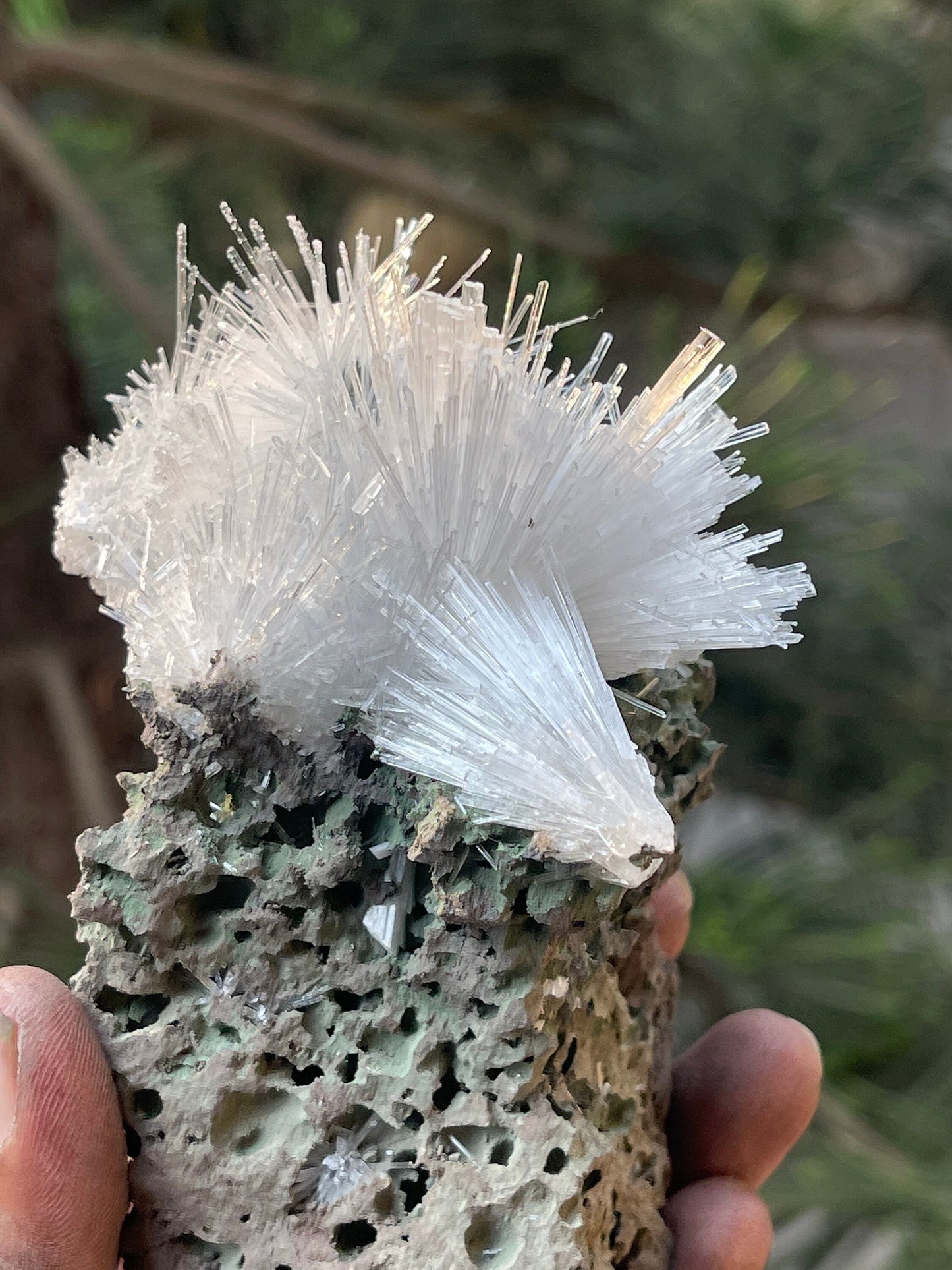 Scolecite crystals on matrix