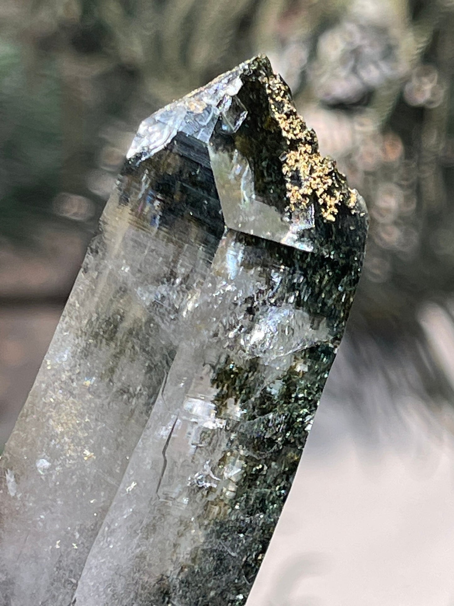 Himalayan Chlorite Quartz Crystal