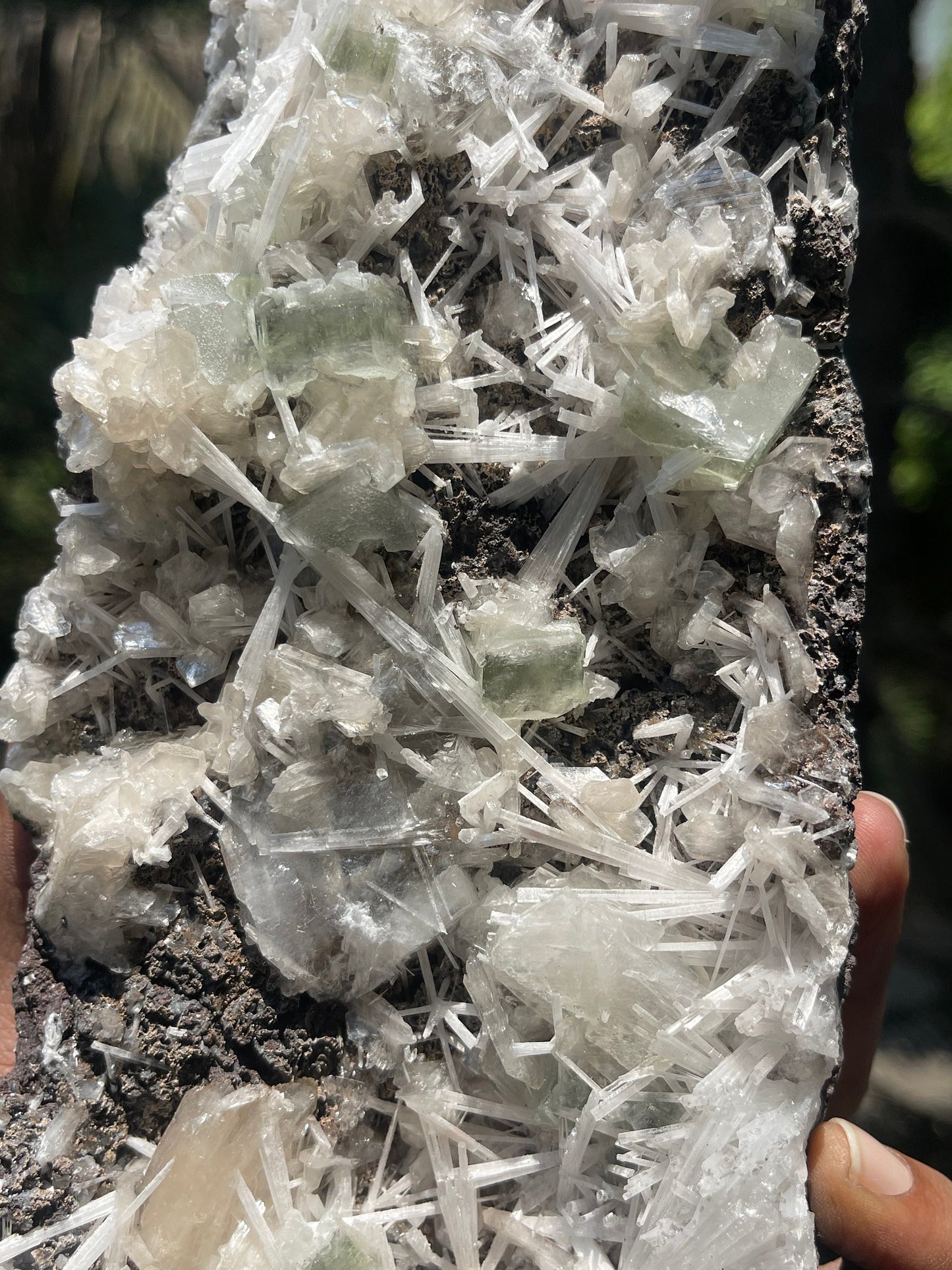 Scolecite spray with green apophyllite/stilbite natural specimen