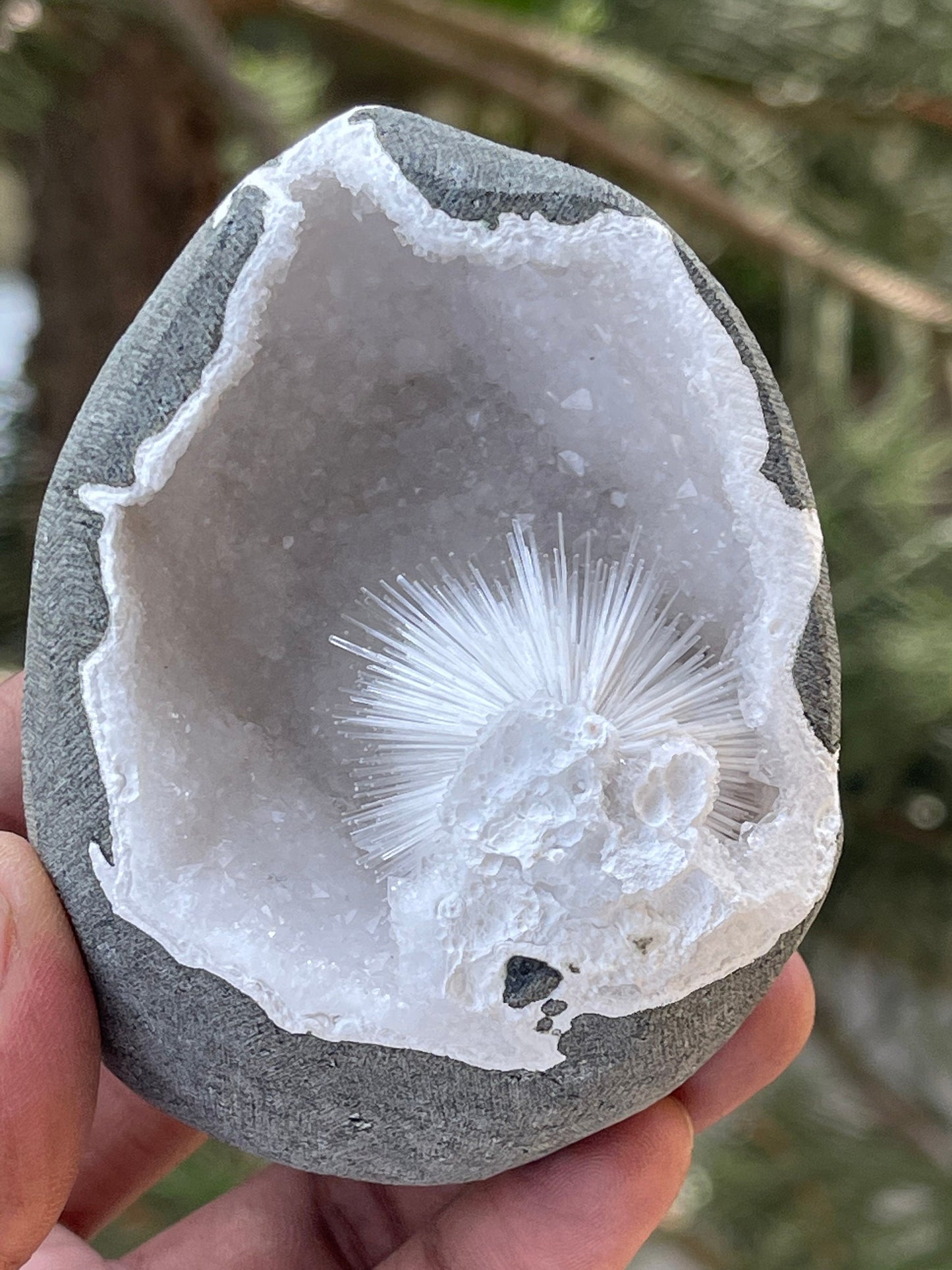 Perfect scolecite flower inside quartz geode natural specimen