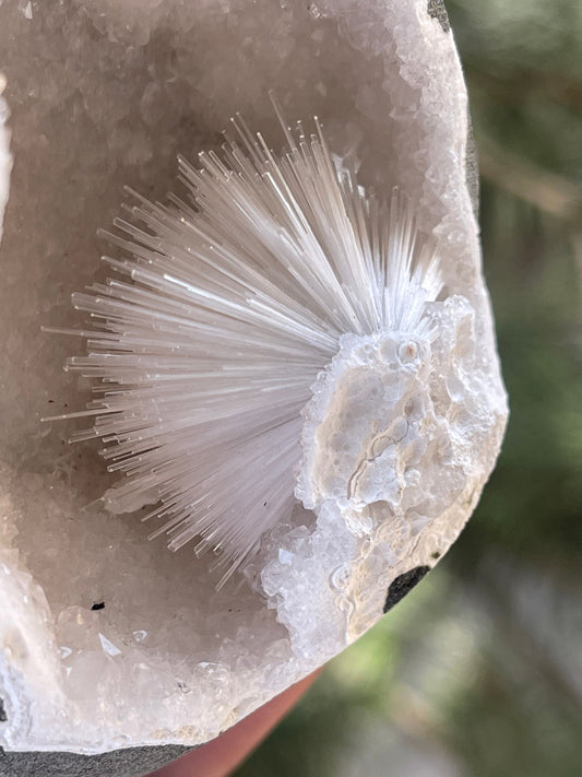 Perfect scolecite flower inside quartz geode natural specimen