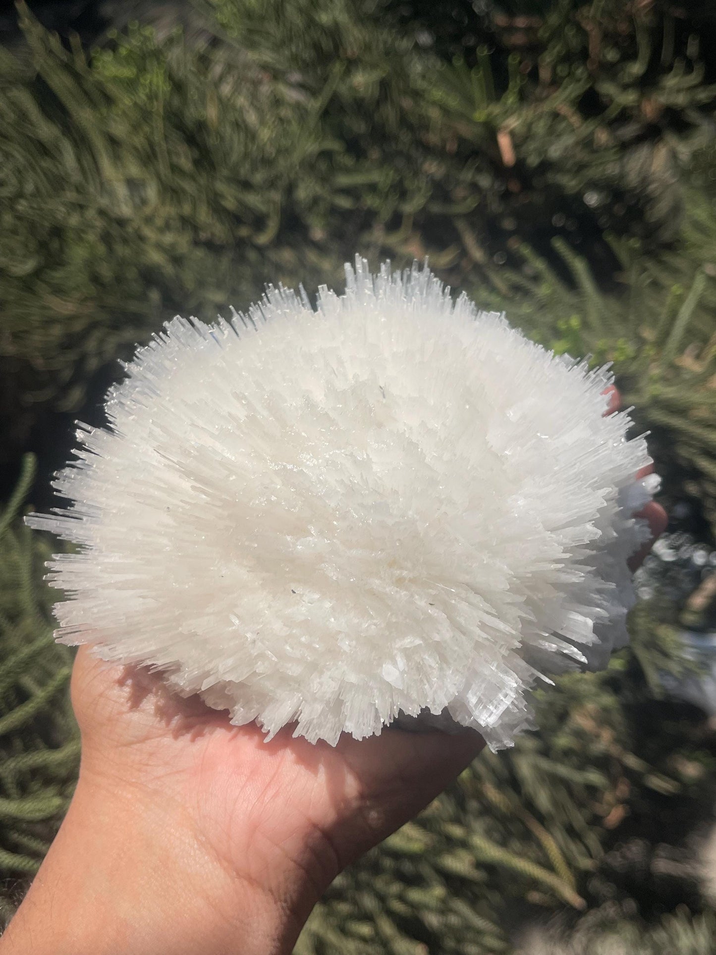 perfect scolecite flower