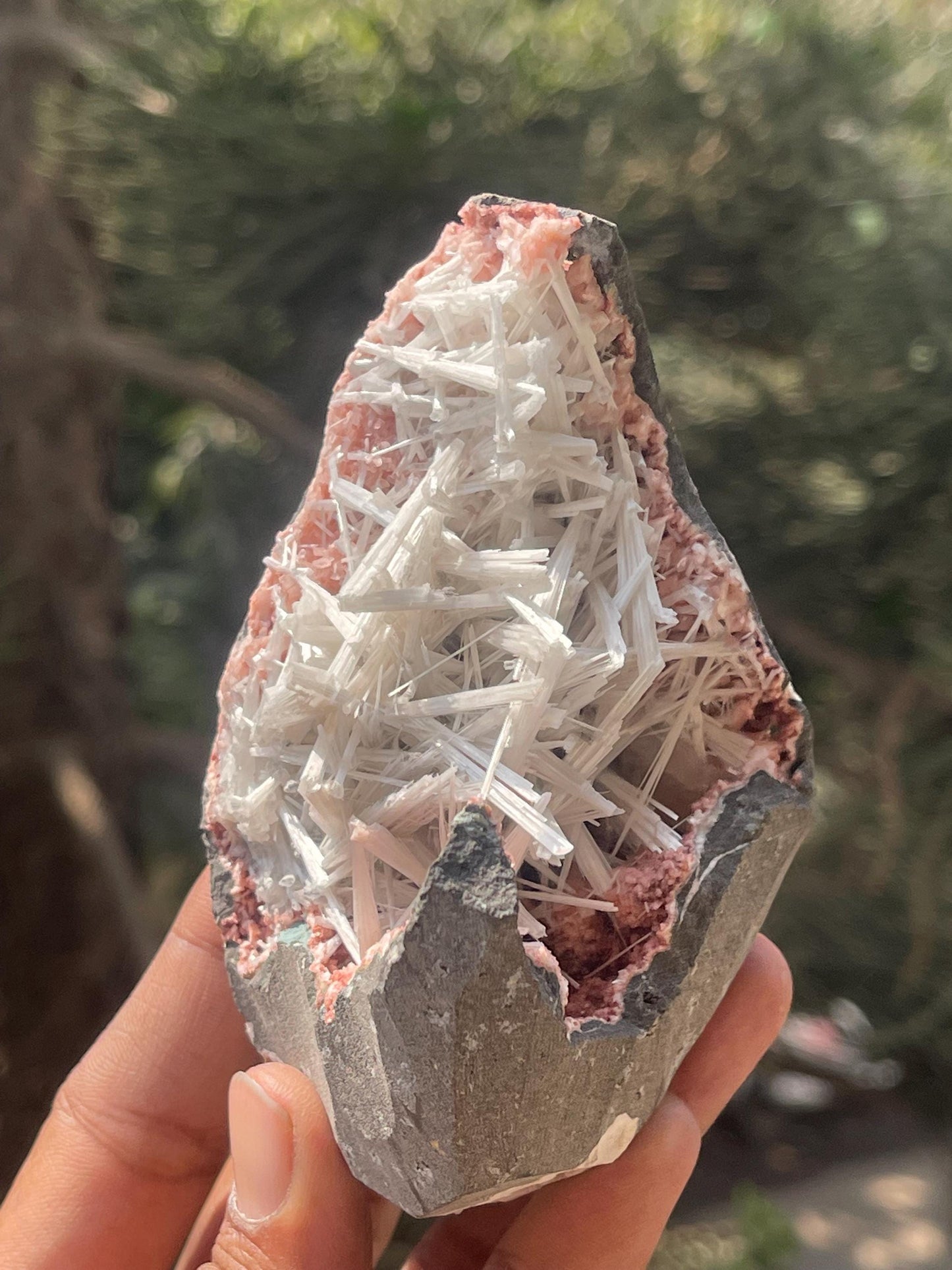 scolecite spray on orange heulandite matrix