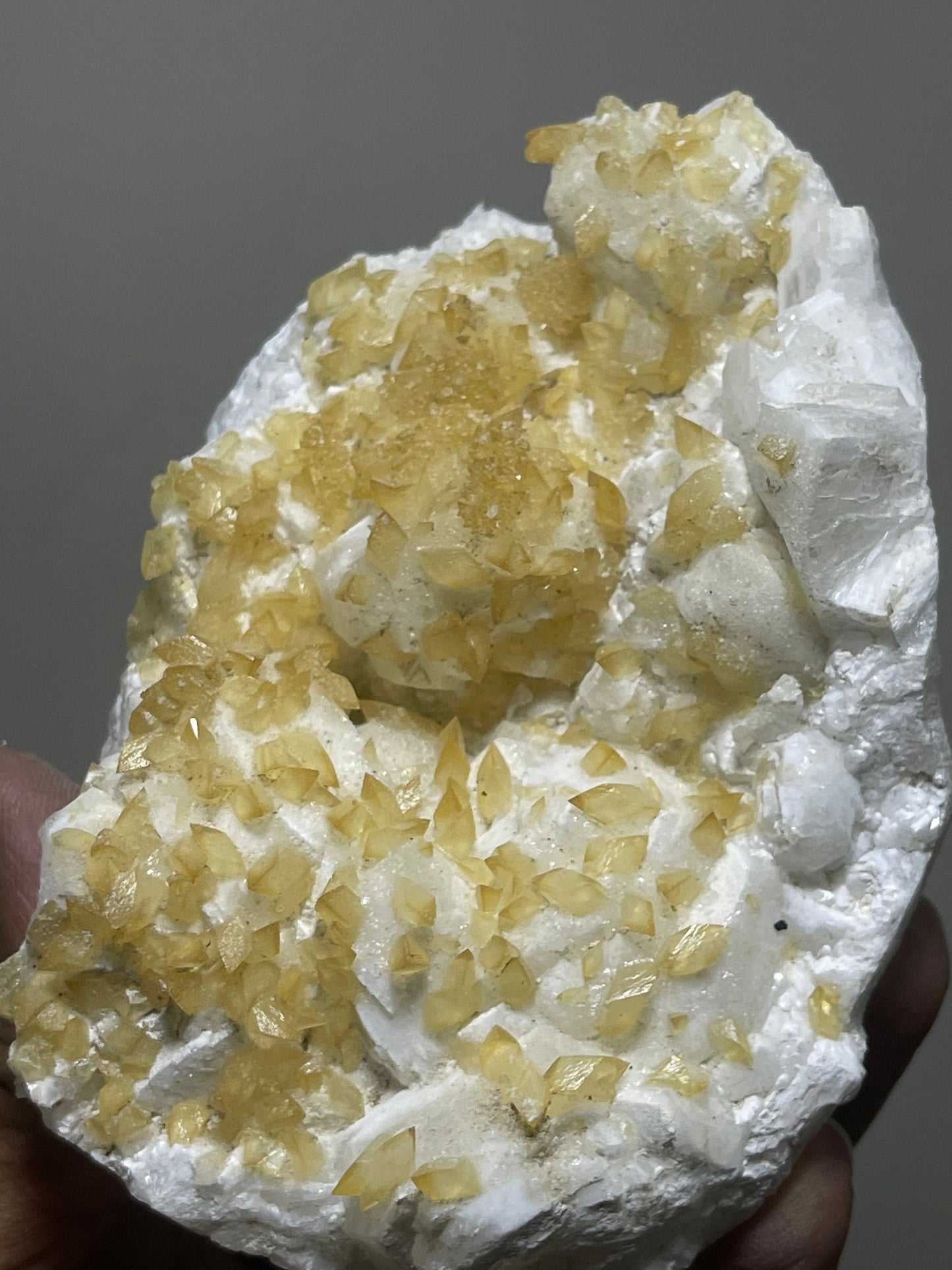 Rare find ..! Golden calcite  crystal on white apophyllite