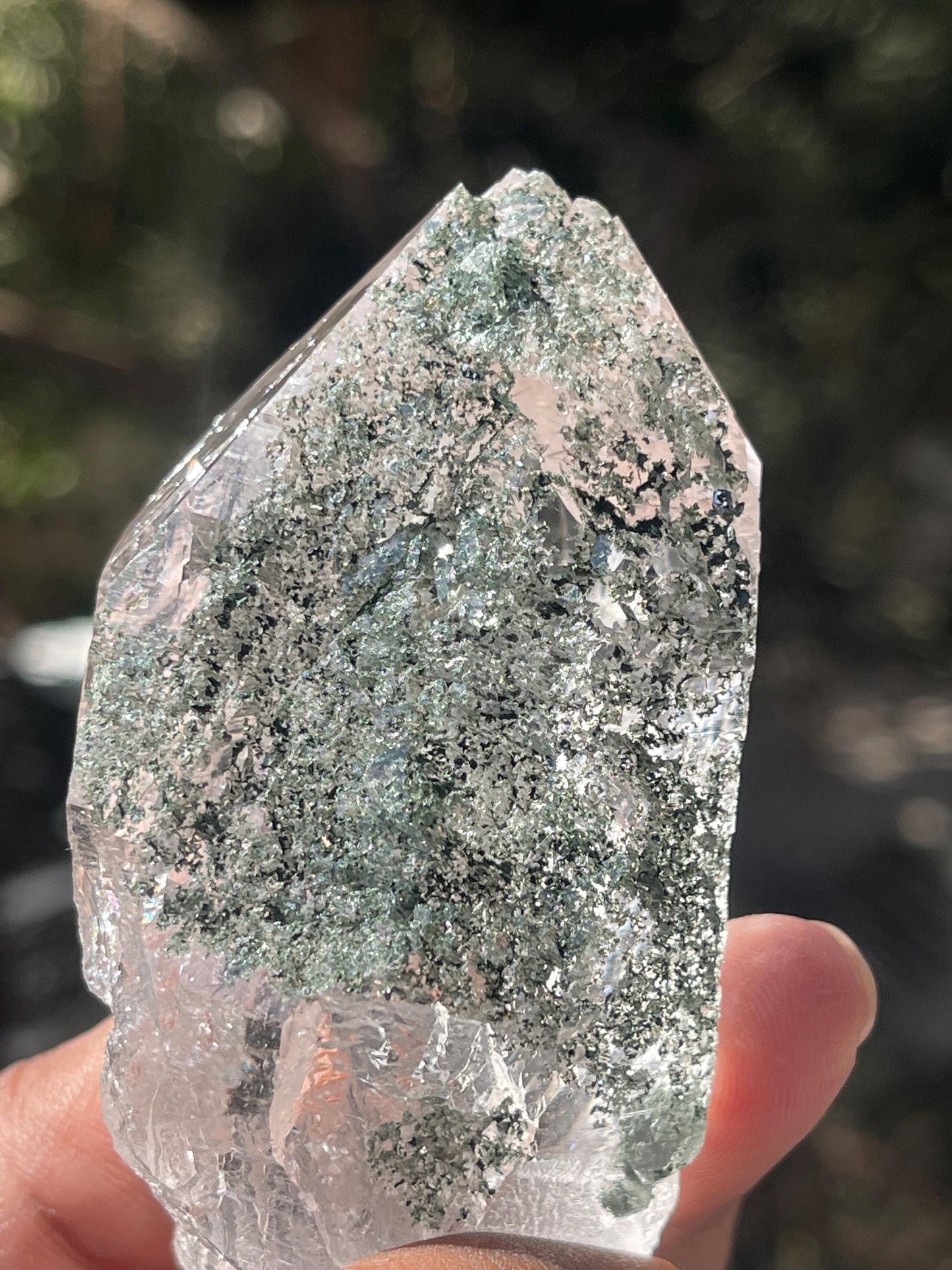 Rare Himalayan Cathedral Quartz Crystal with Green Chlorite – High-Energy Healing crystal