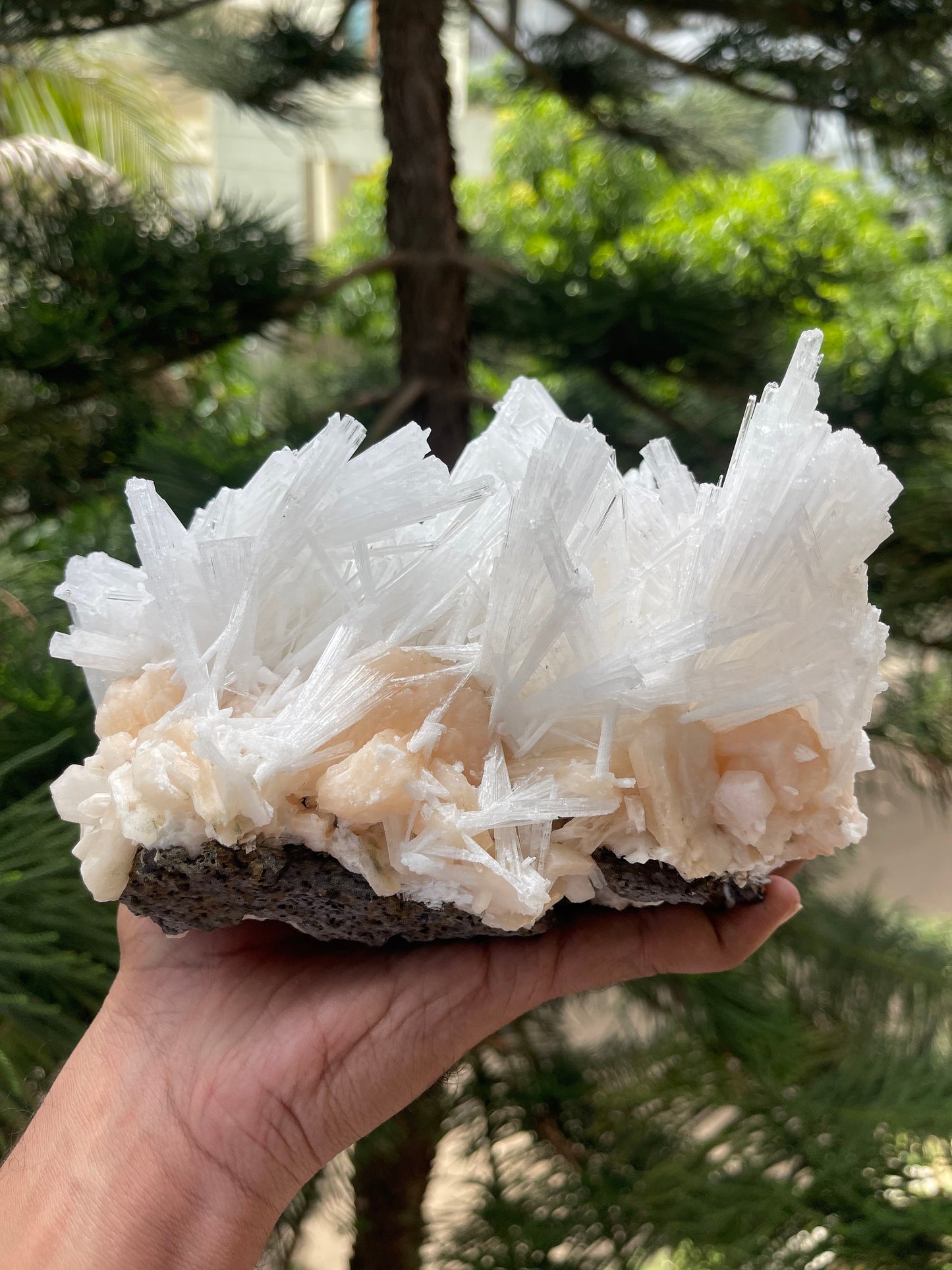 Glossy scolecite spray on orange stilbite crystal natural specimen