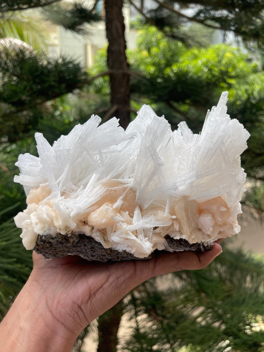 Glossy scolecite spray on orange stilbite crystal natural specimen