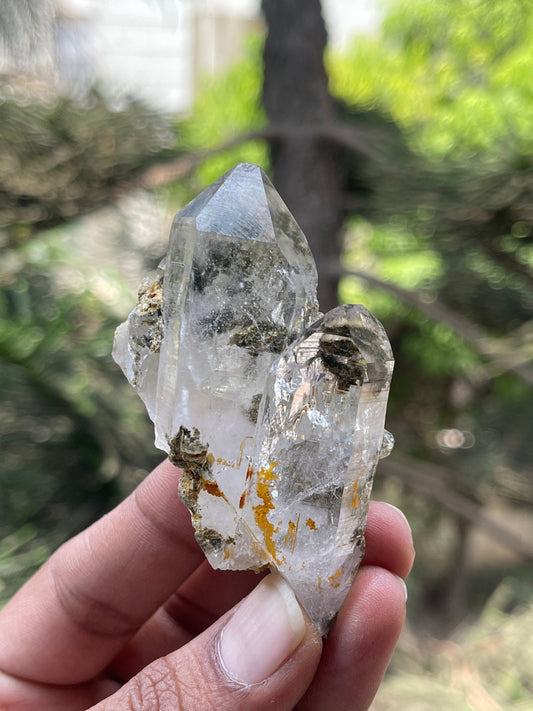 chlorite included Twin Quartz Crystals with unique formation- Himachal Pradesh
