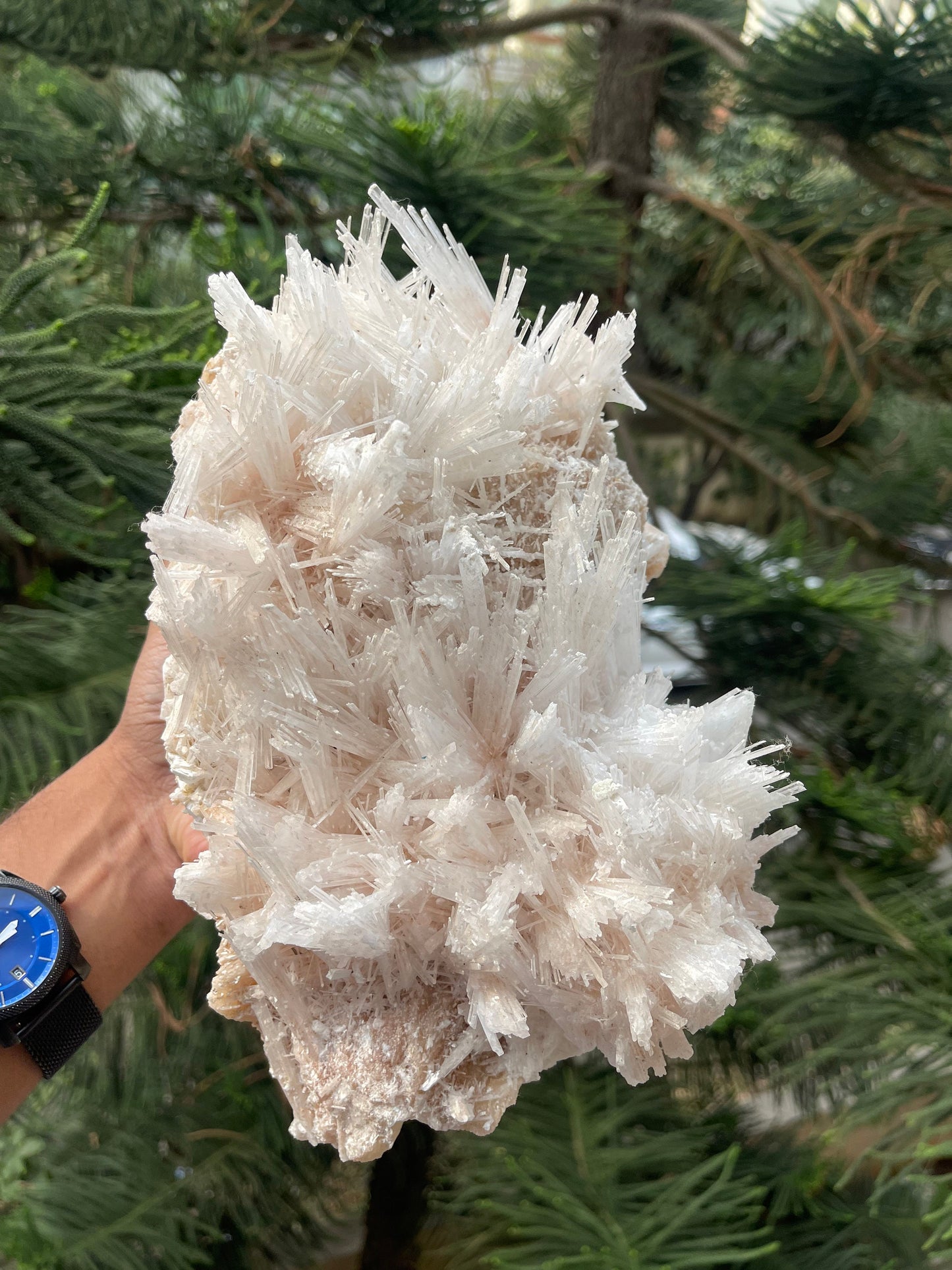 Scolecite spray on stilbite base