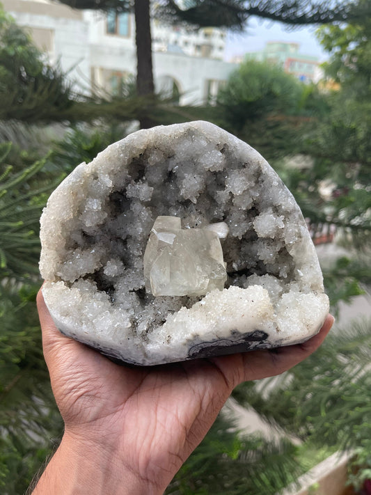 Natural calcite cube on chalcedony coral