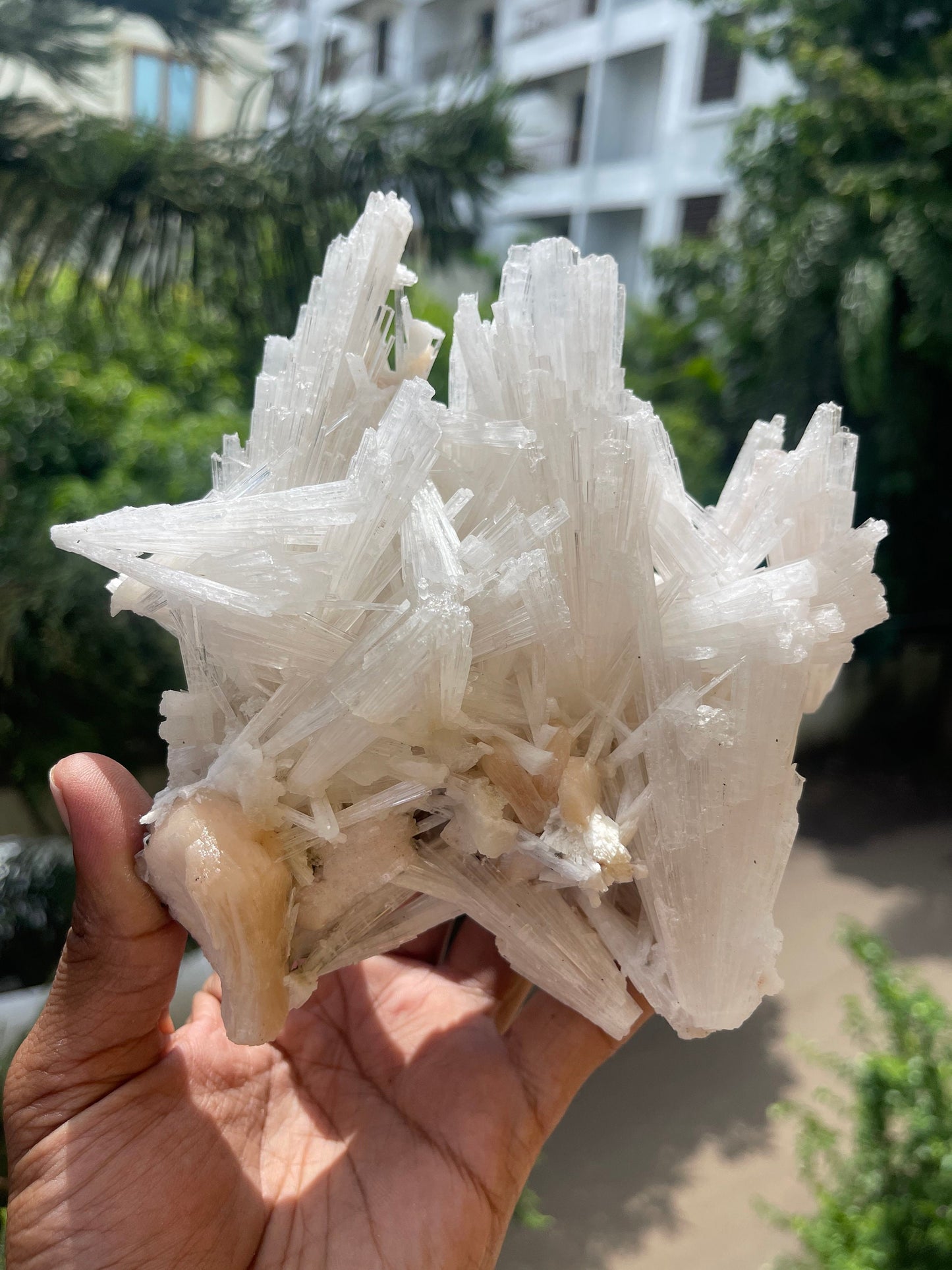 Scolecite crystal with stilbite