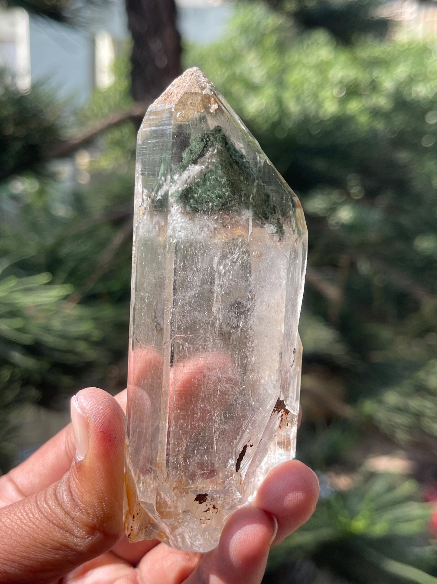 Himalayan Natural Green Chlorite Quartz Crystal/ Clear Meditation Collection