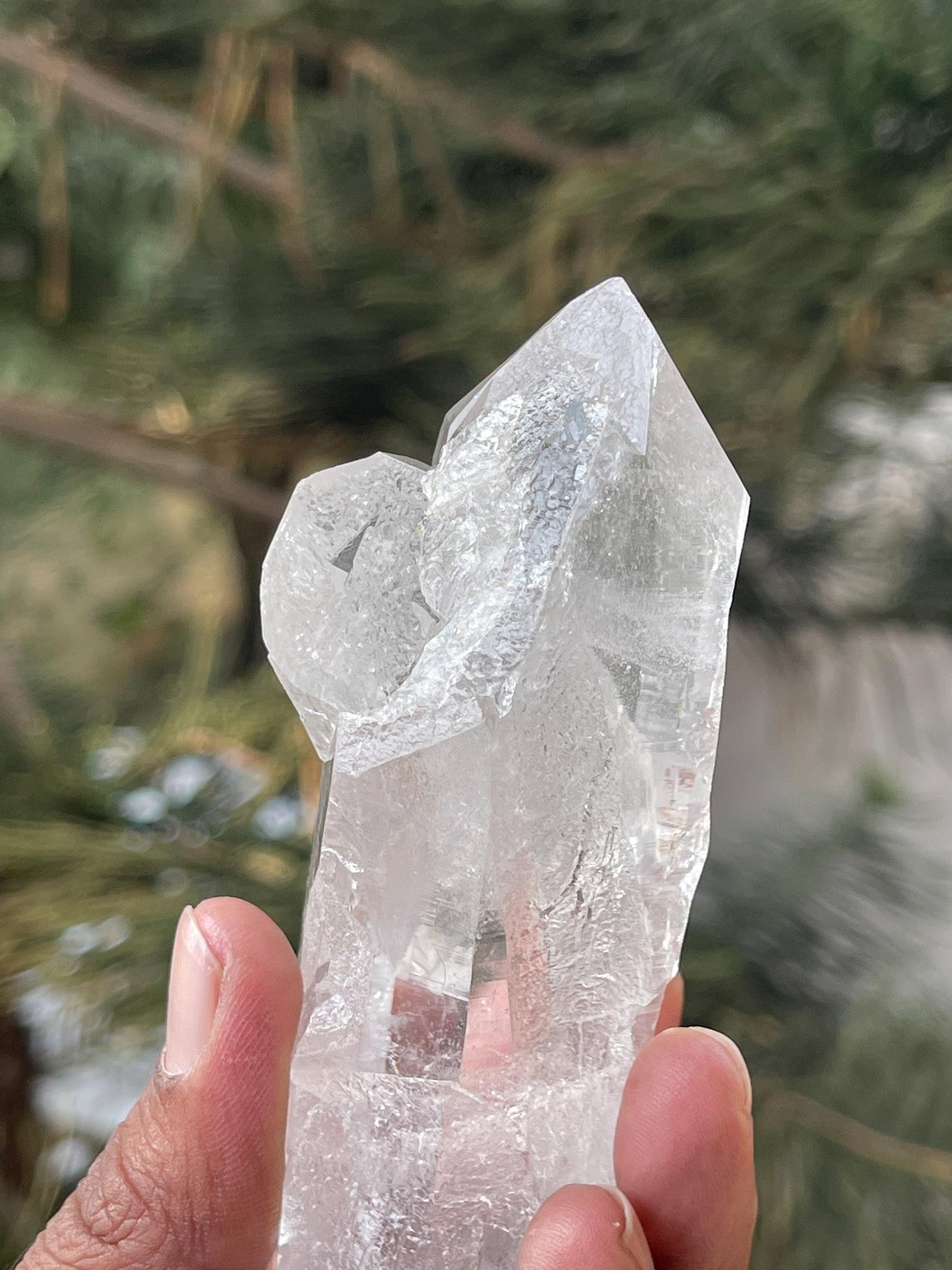 Double terminated Himalayan quartz floaters crystal