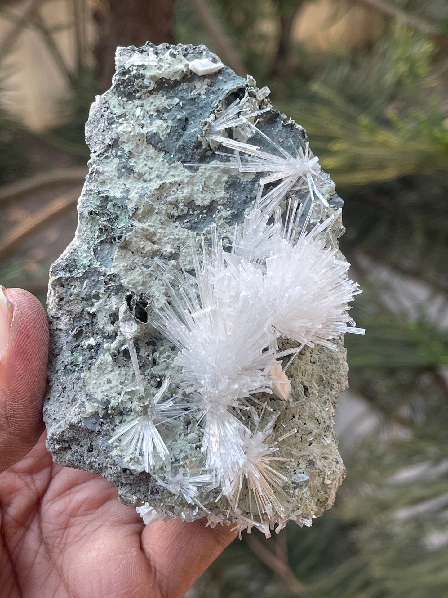 Scolecite Crystal on matrix