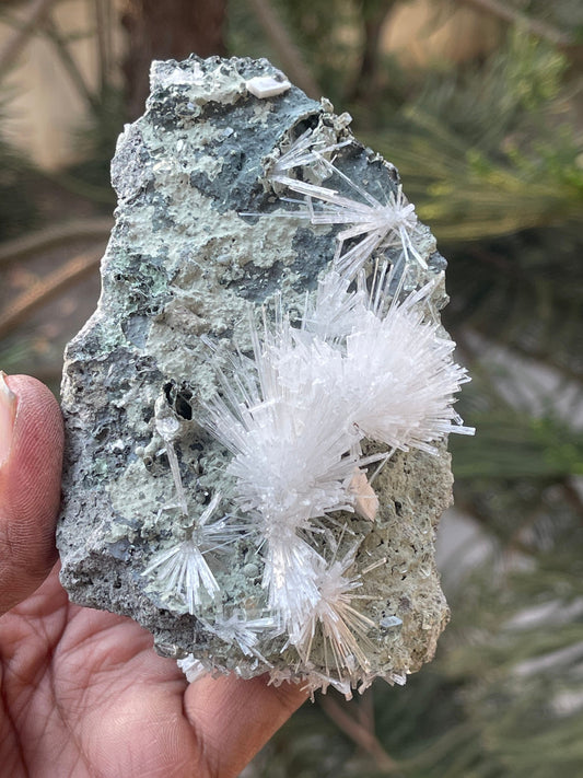 Scolecite Crystal on matrix