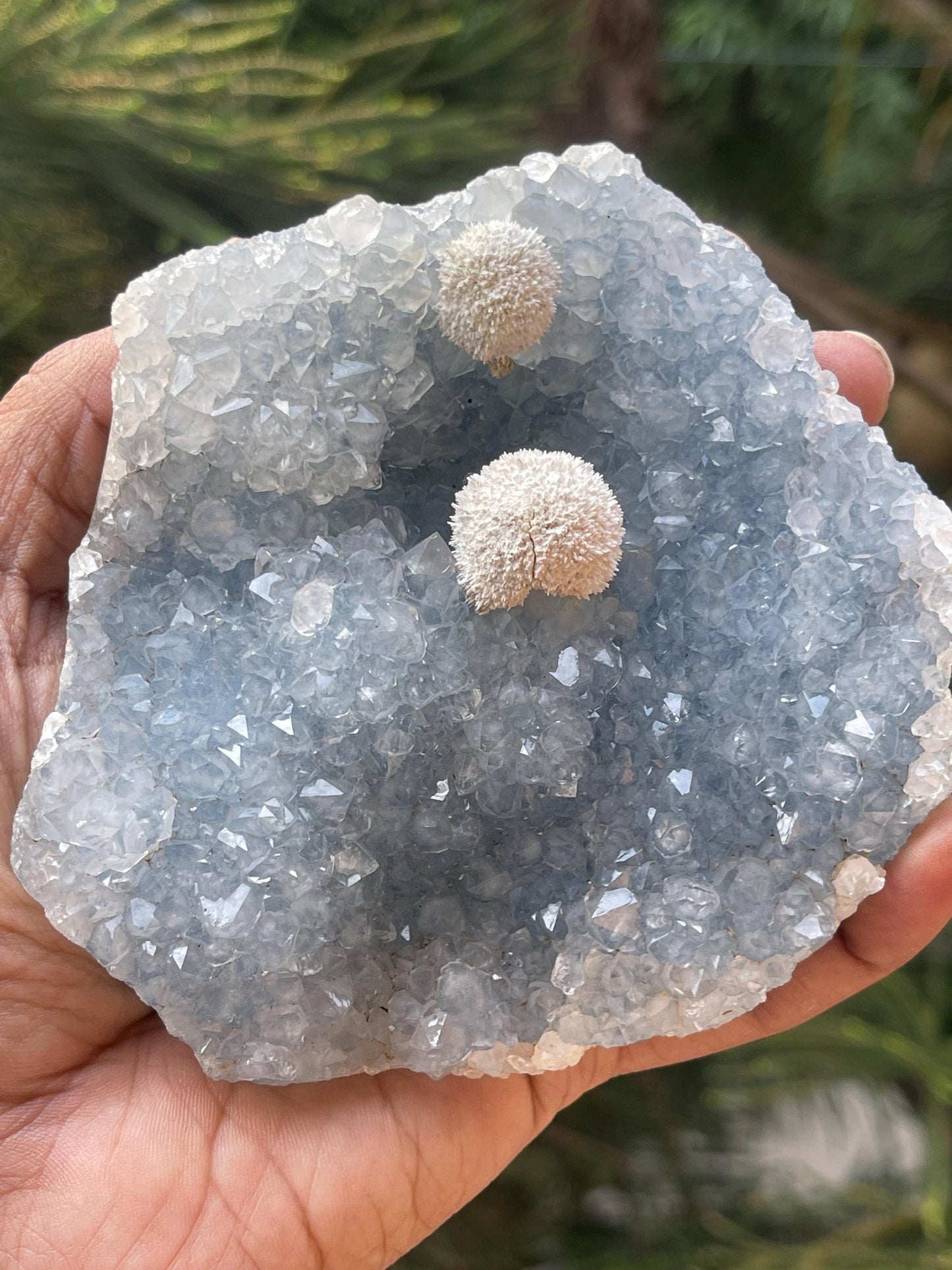 Twin okenite ball on blue quartz