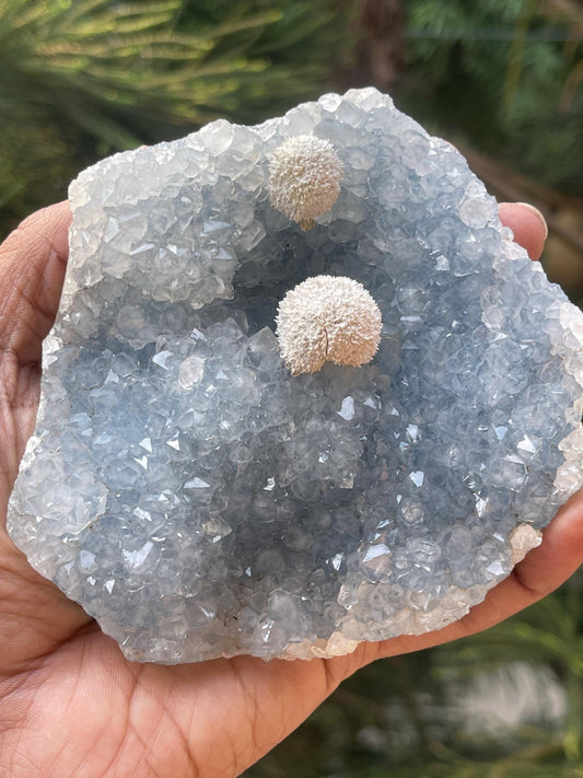 Twin okenite ball on blue quartz