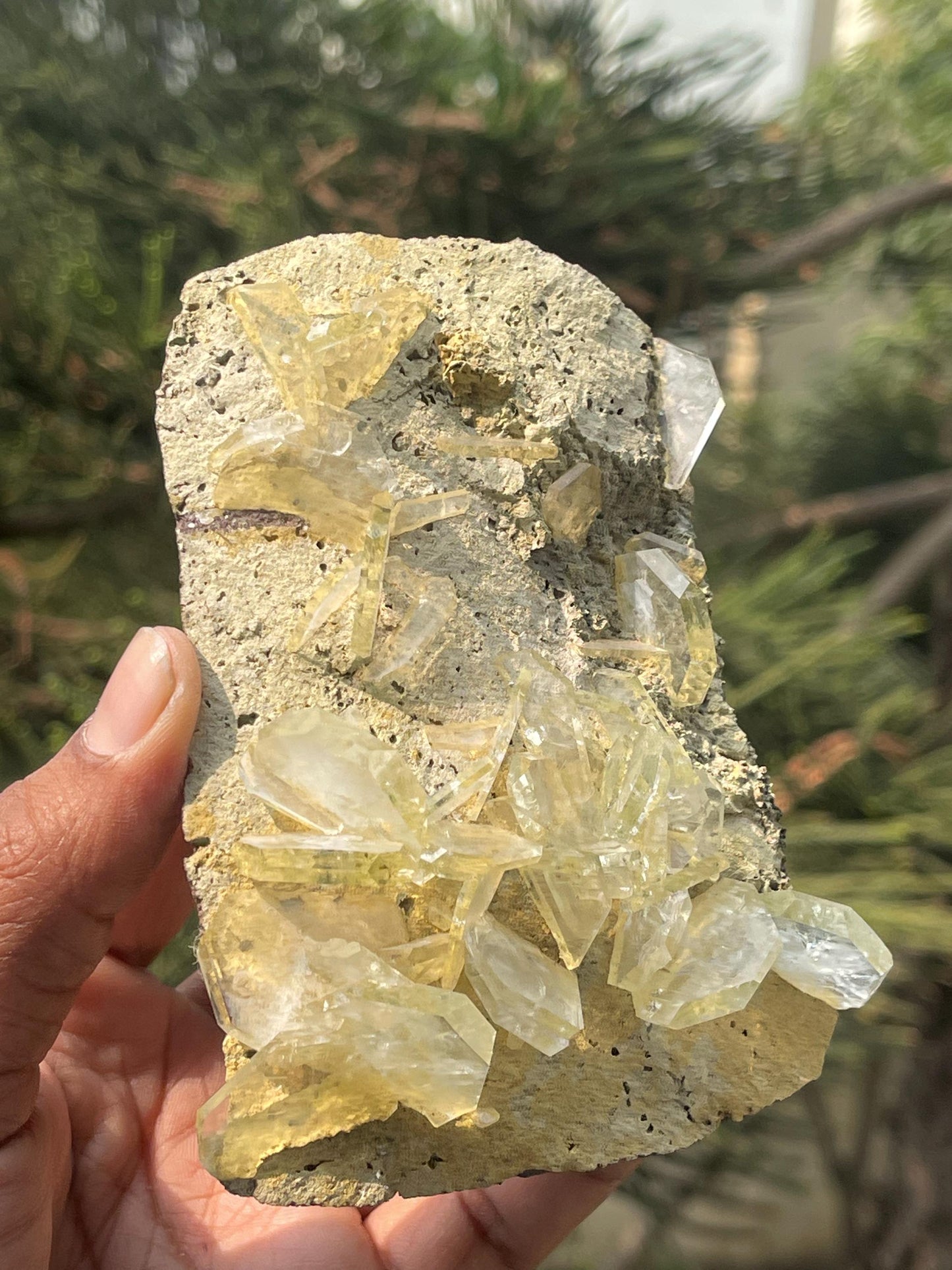Apophyllite crystals on matrix