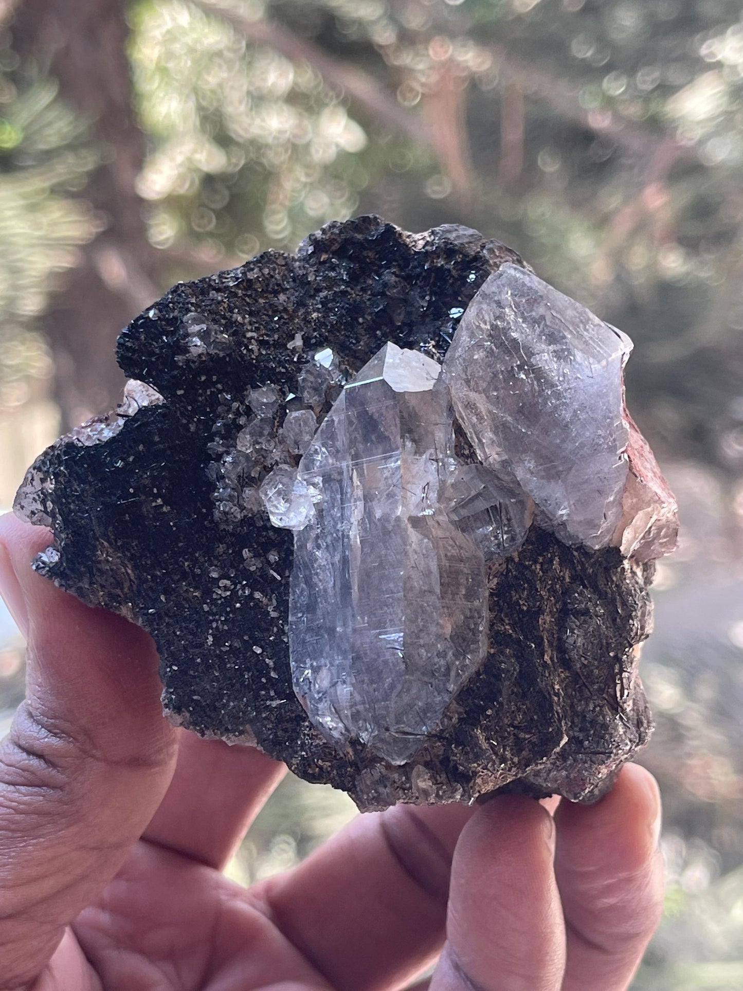 twice Himalayan quartz crystal on black rutile matrix rare find
