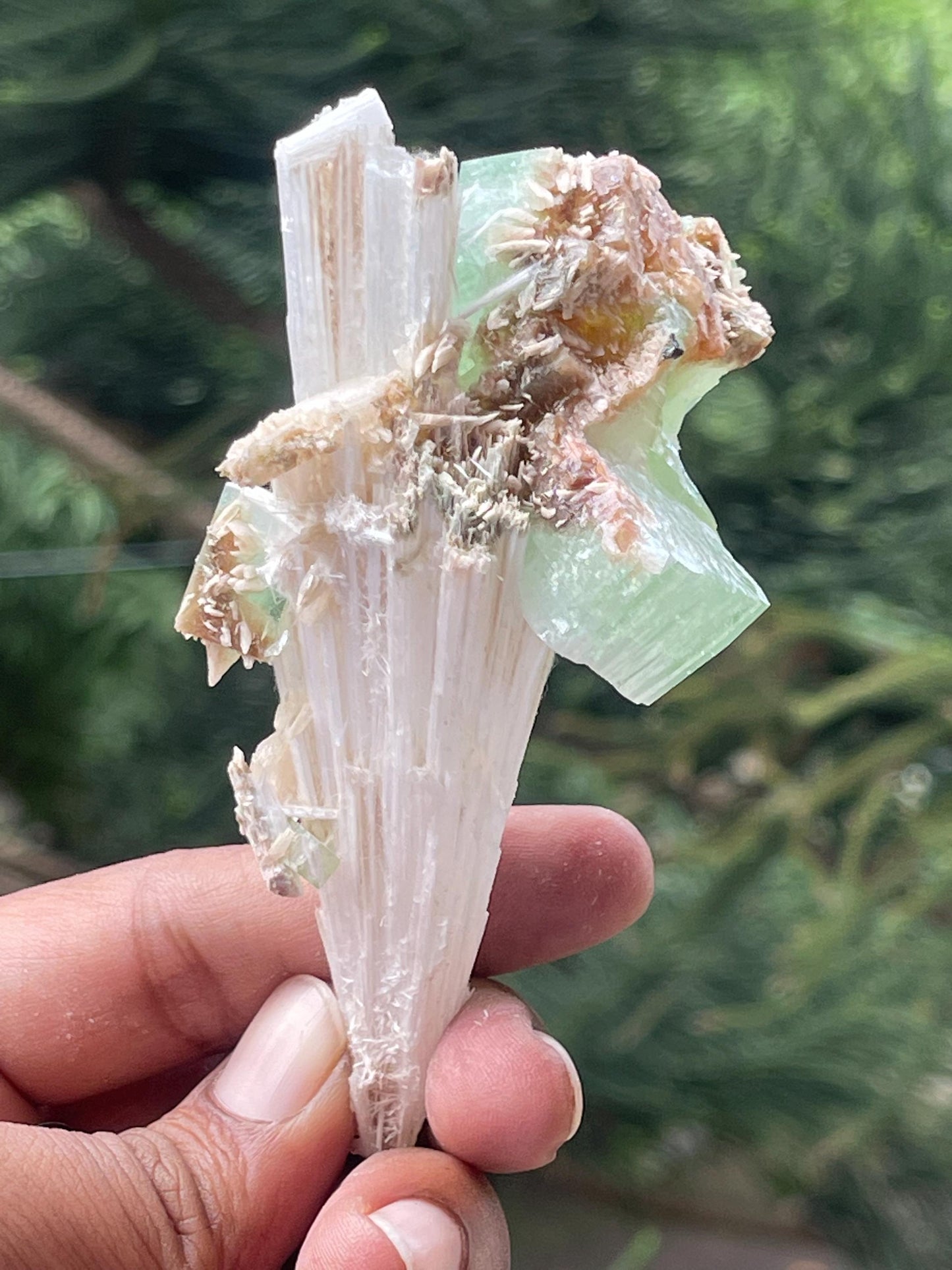 Green apophyllite crystal on scolecite spray natural specimen