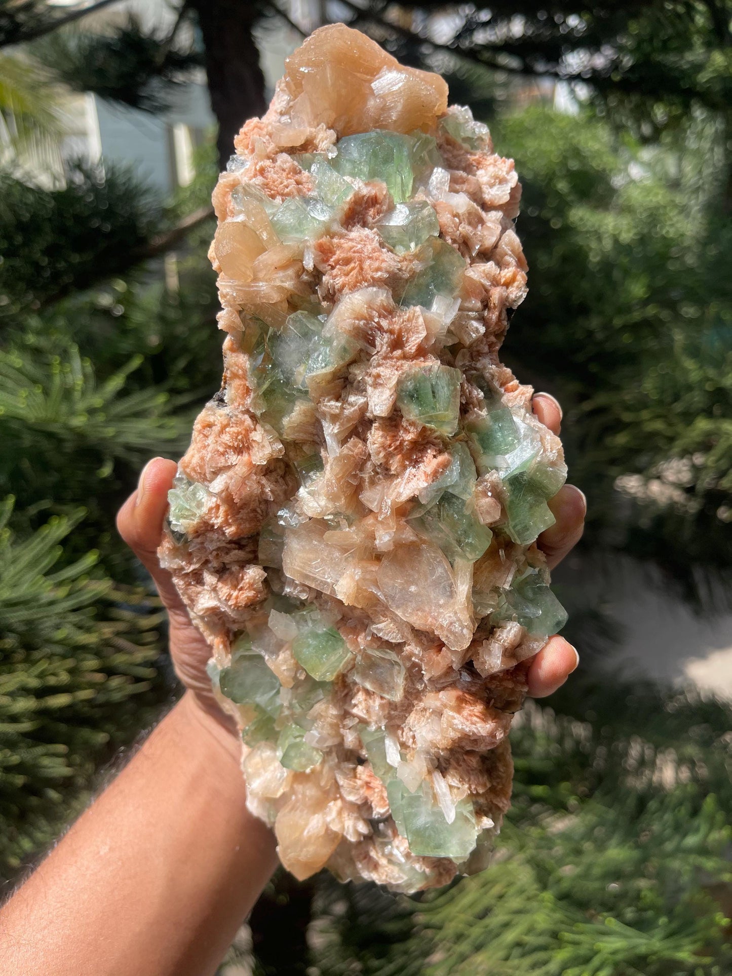 Dark green apophyllite cubes with stilbite