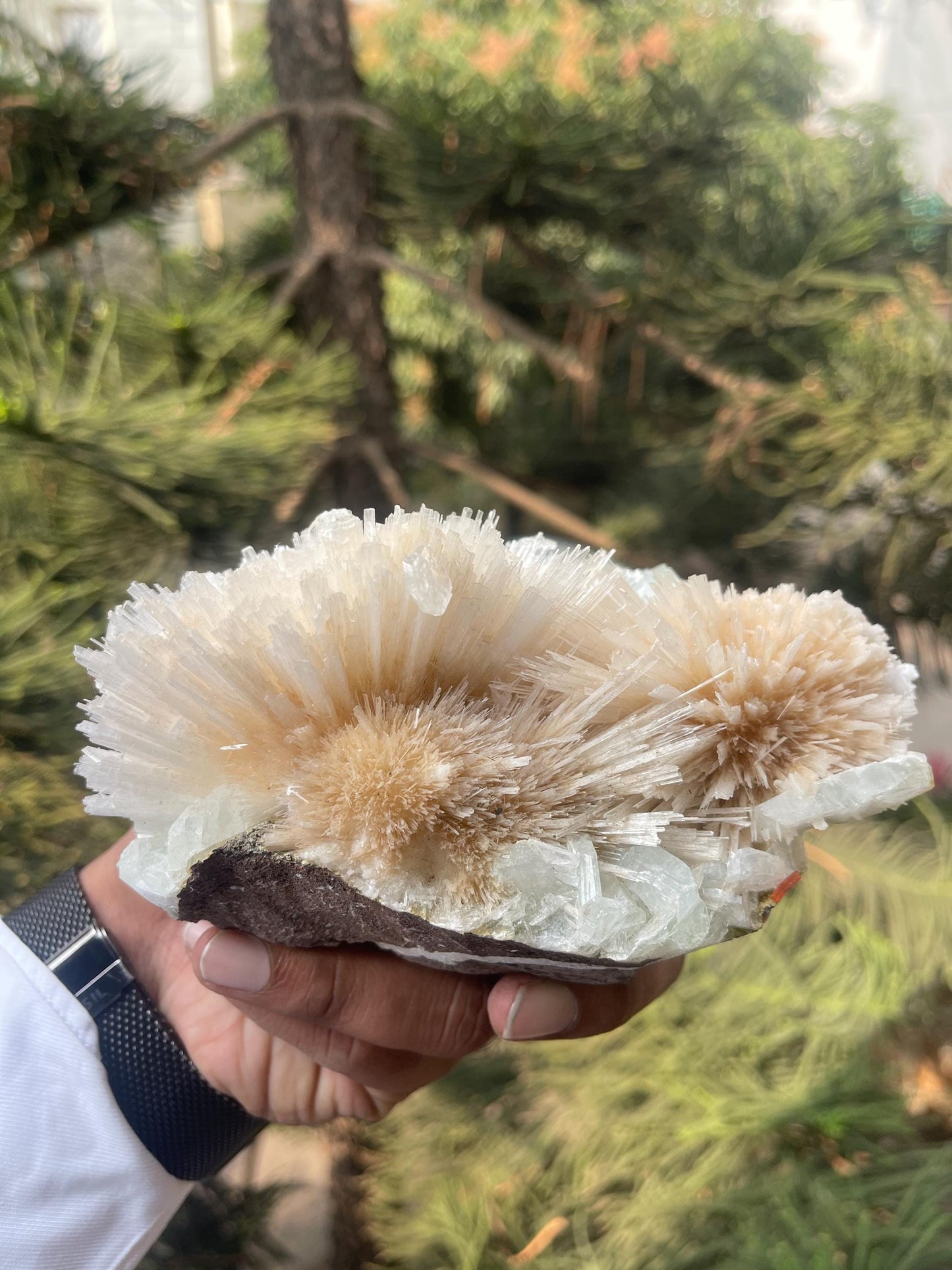Pink scolecite flower with green apophyllite crystals