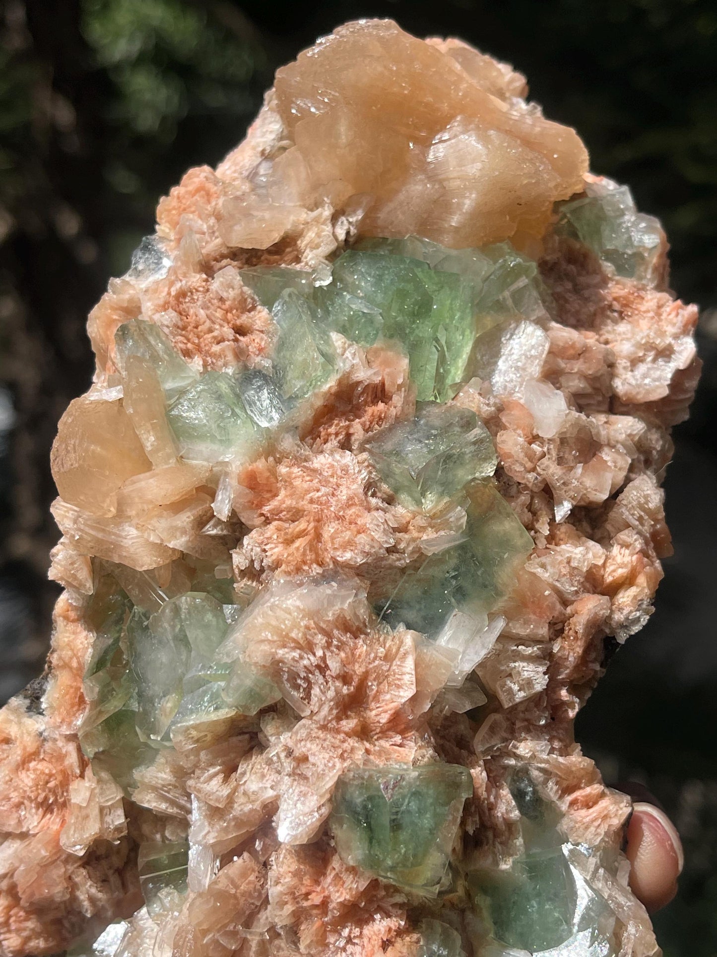 Dark green apophyllite cubes with stilbite