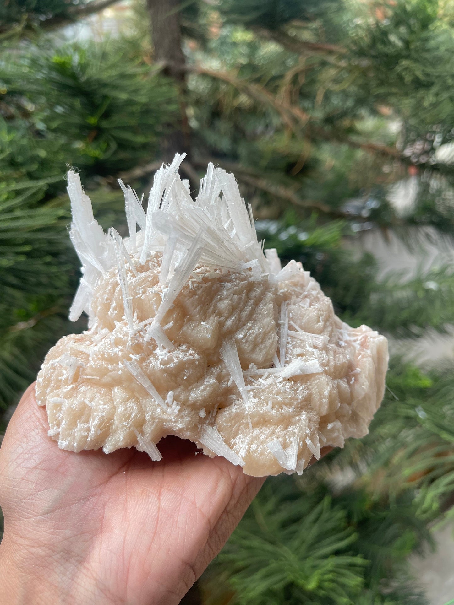 Scolecite spray on stilbite mineral