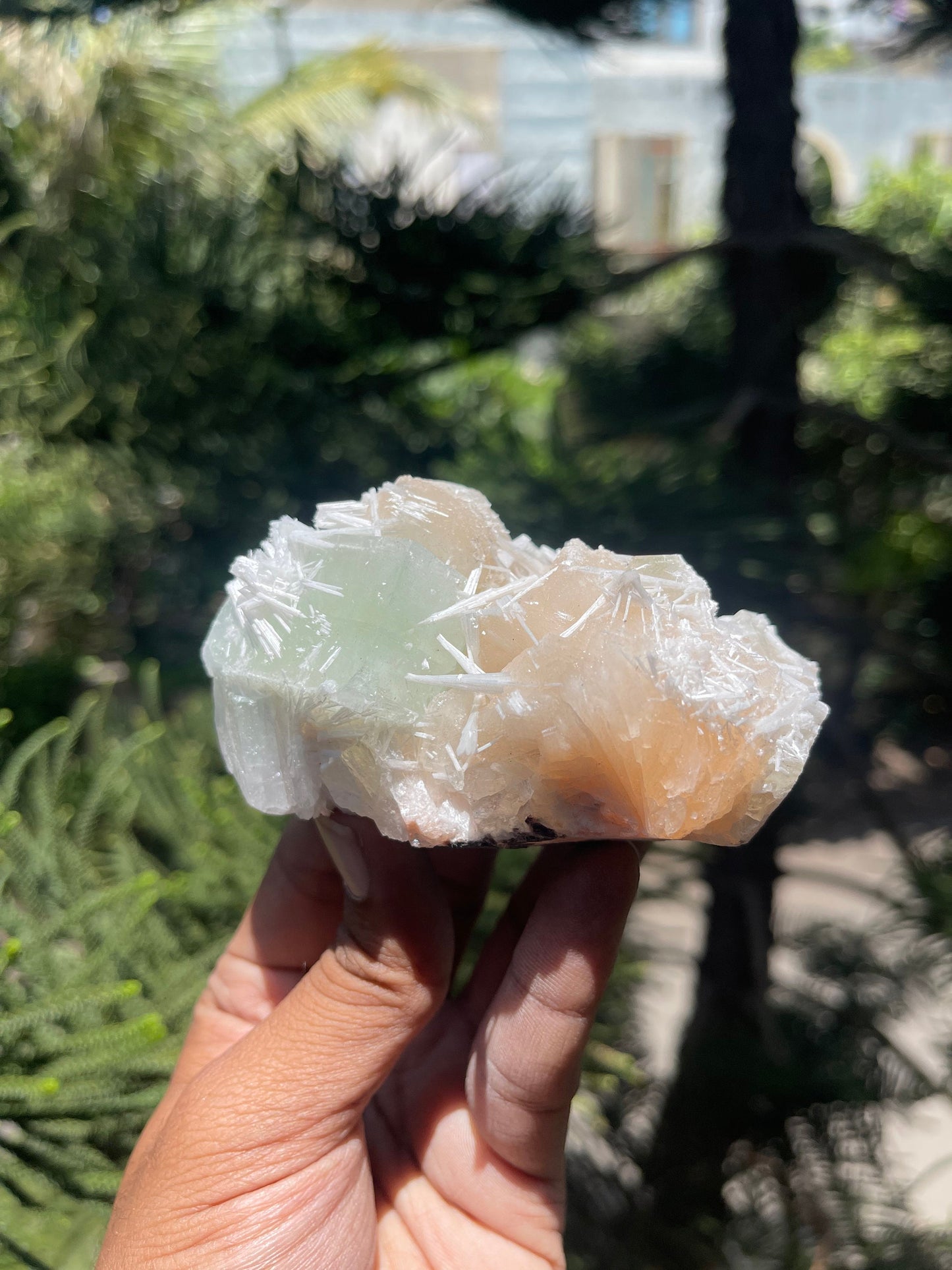 Green apophyllite crystal with stilbites and scolecite