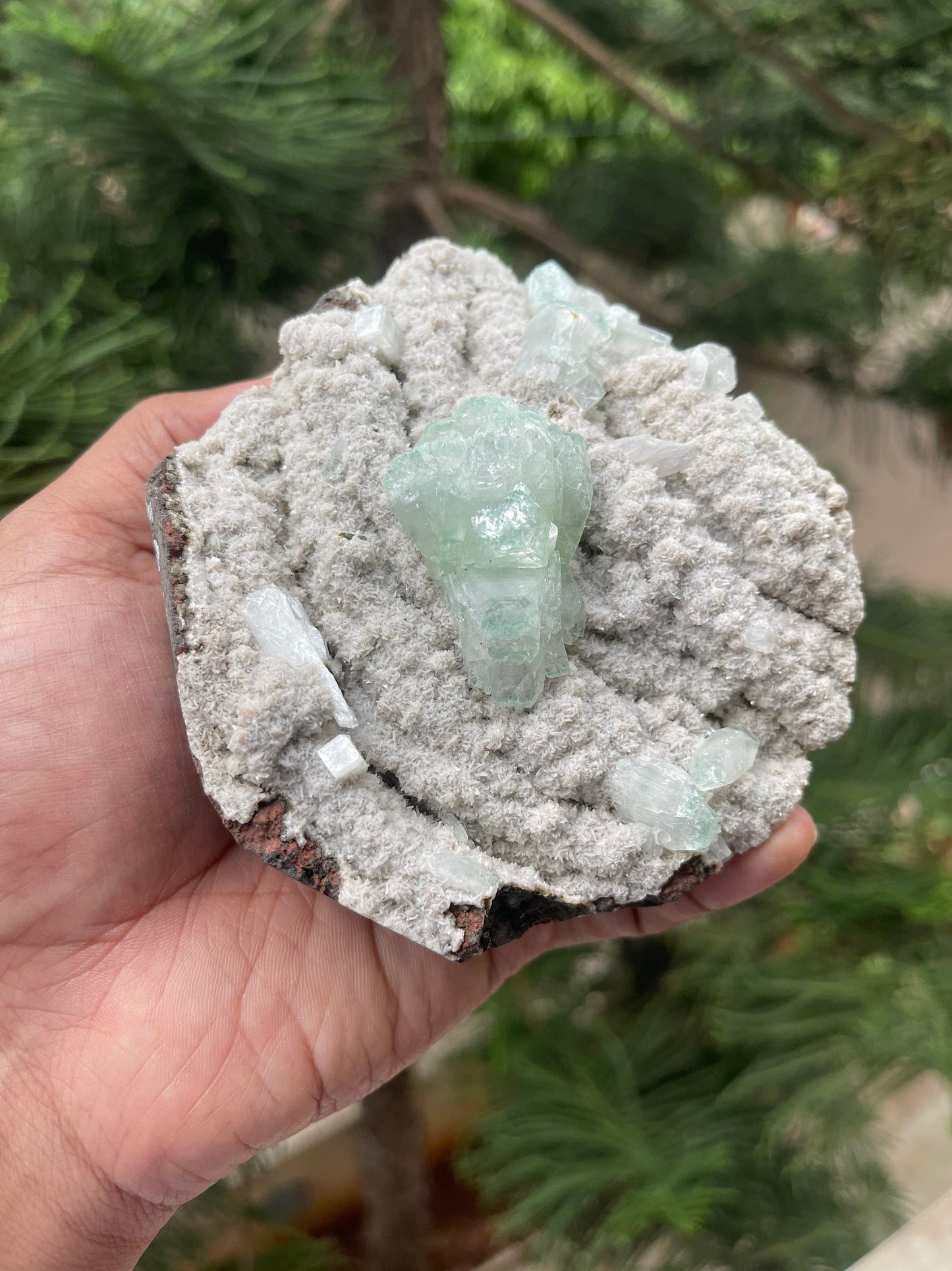 Green apophyllite crystal on chalcedony matrix