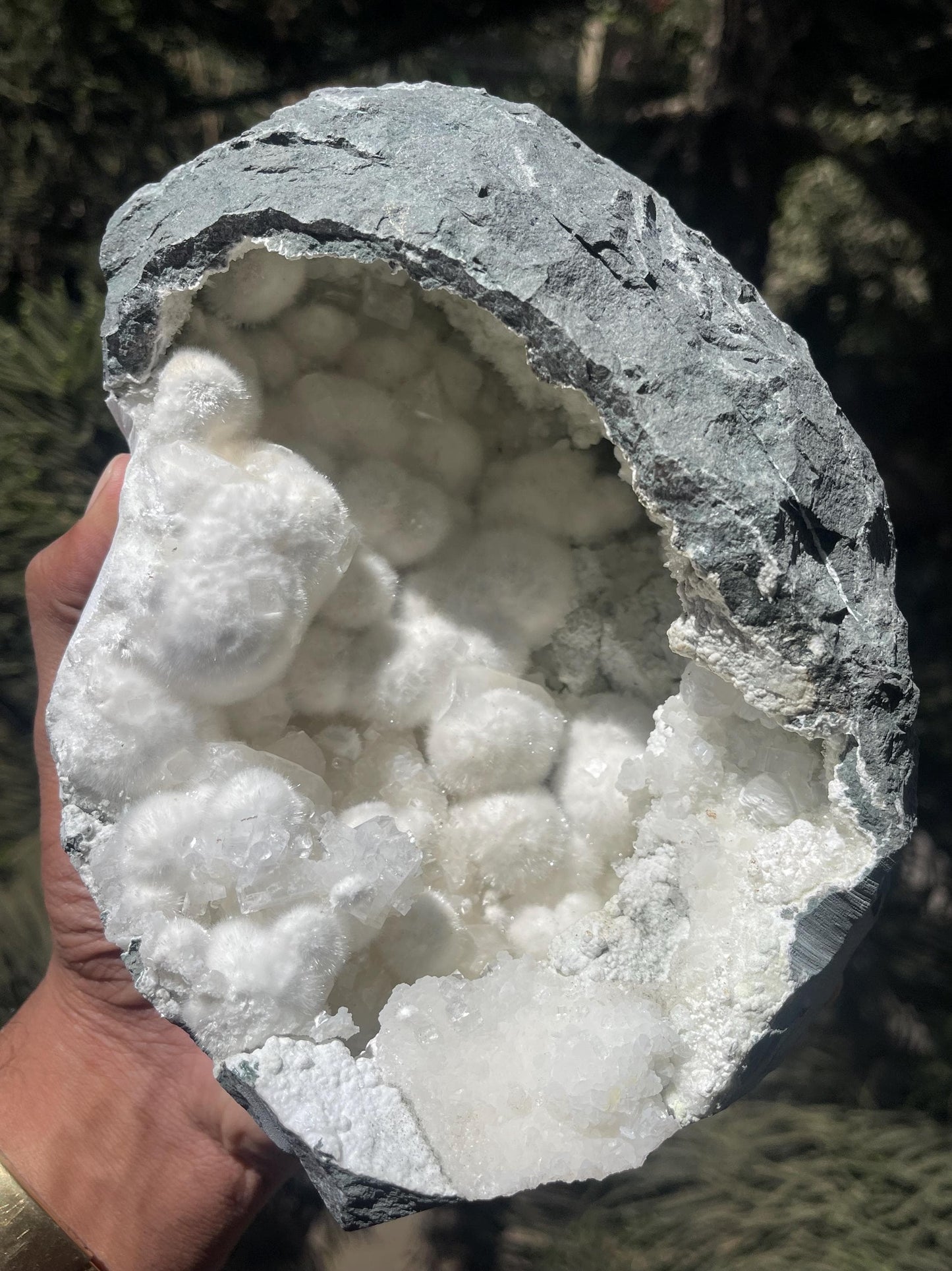 okenite big puffs balls on apophyllite inside geode