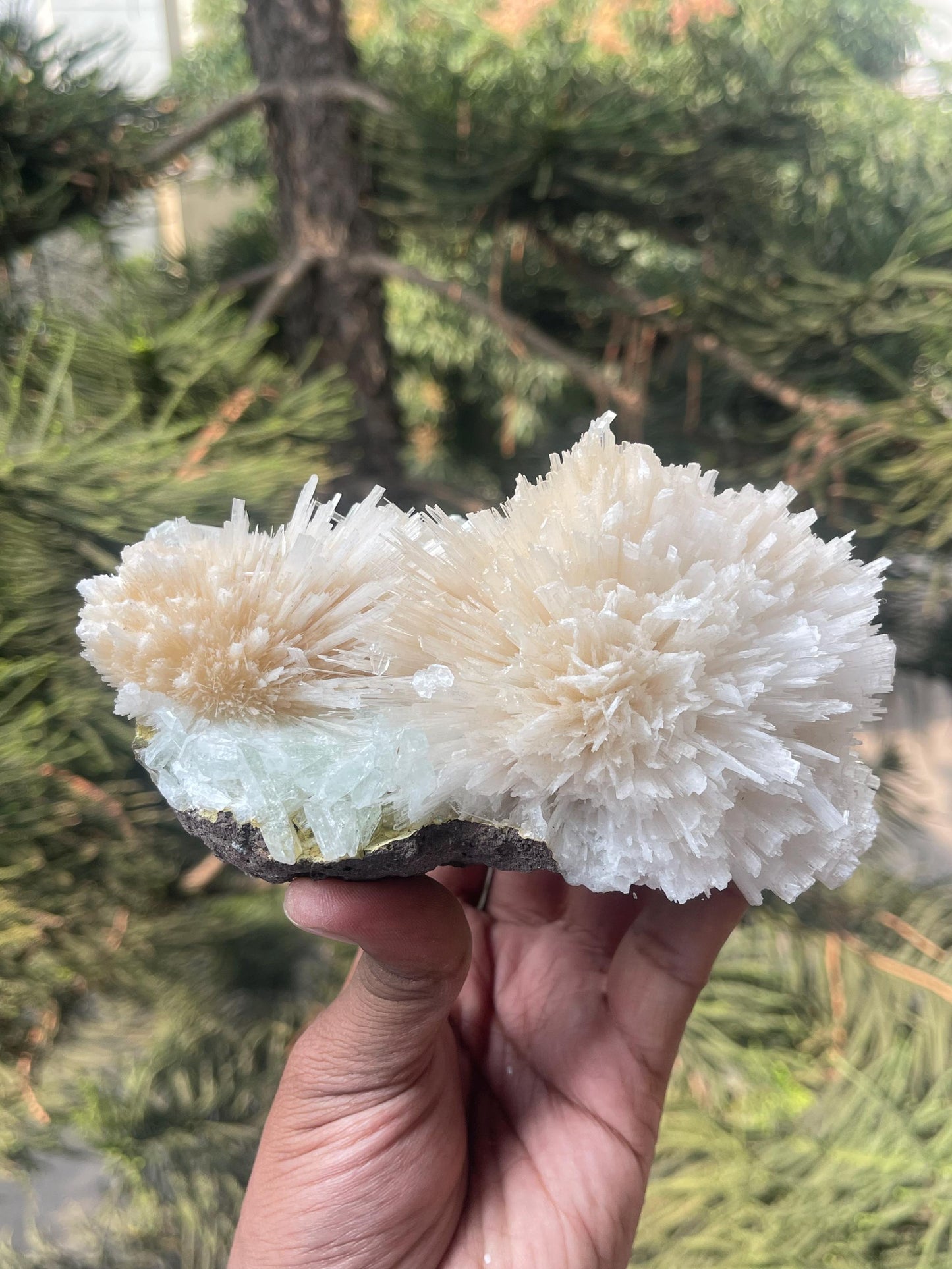 Pink scolecite flower with green apophyllite crystals