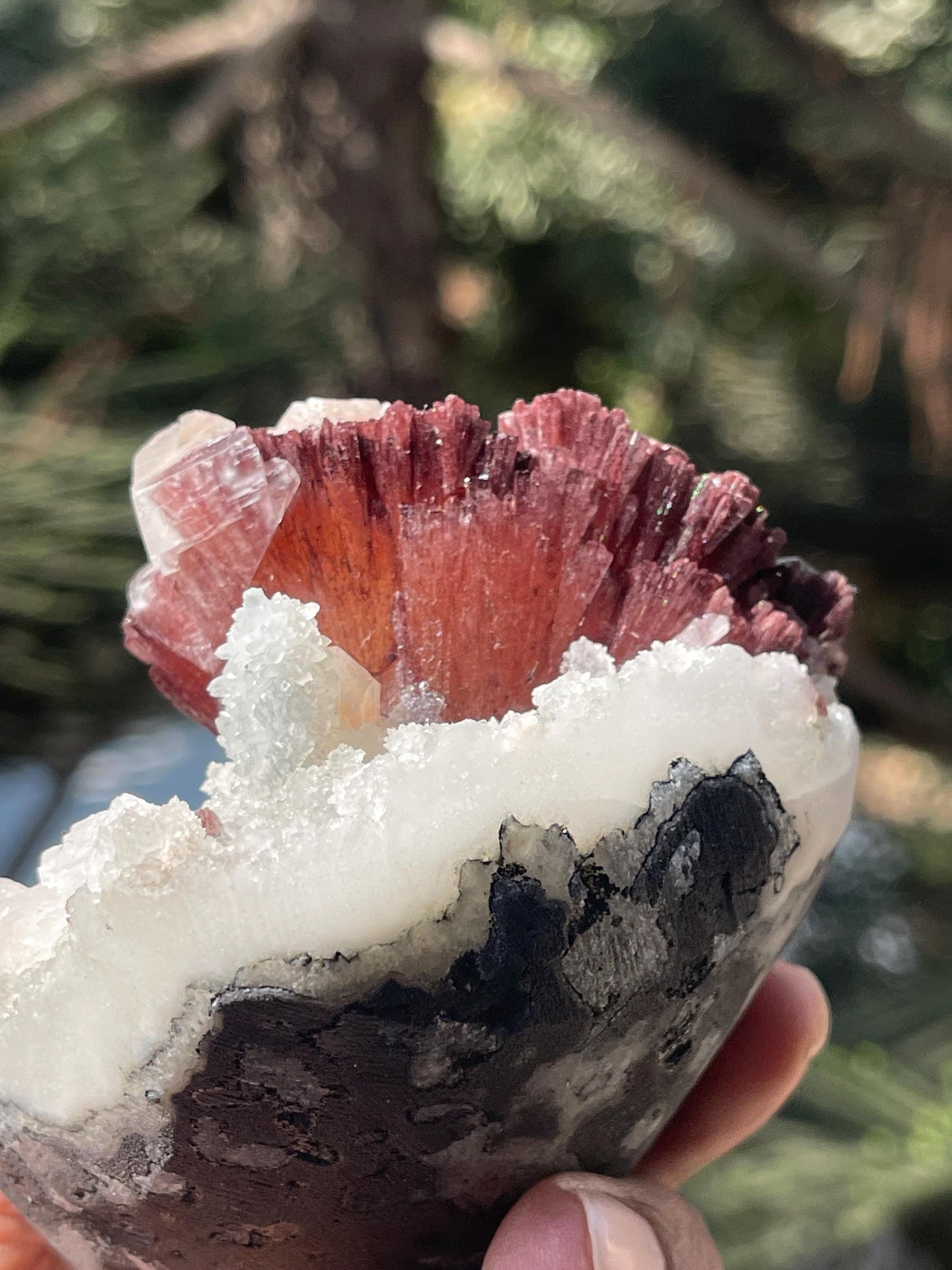 Natural Brown Heulandite Crystal with Calcite & Stilbite