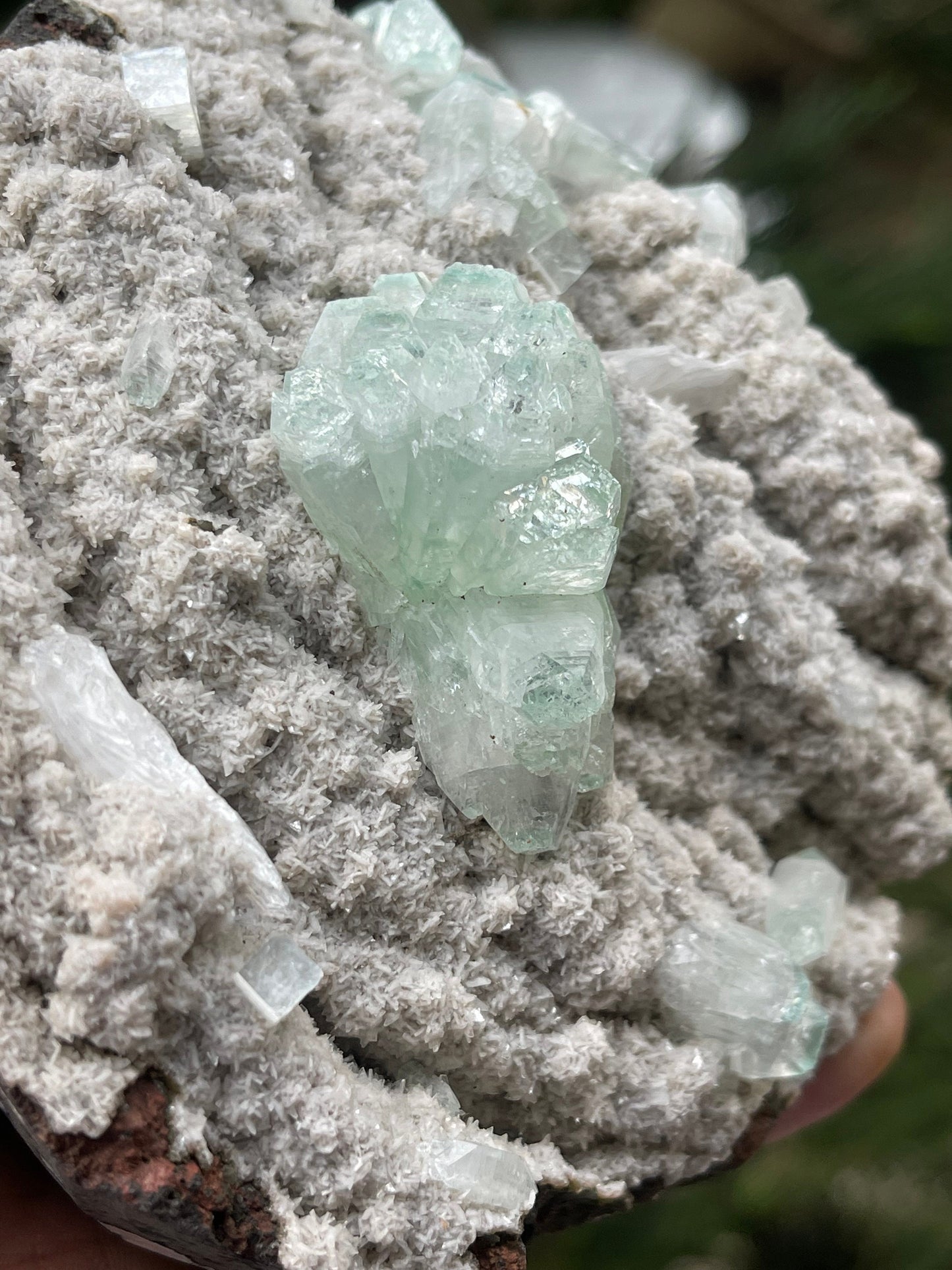 Green apophyllite crystal on chalcedony matrix