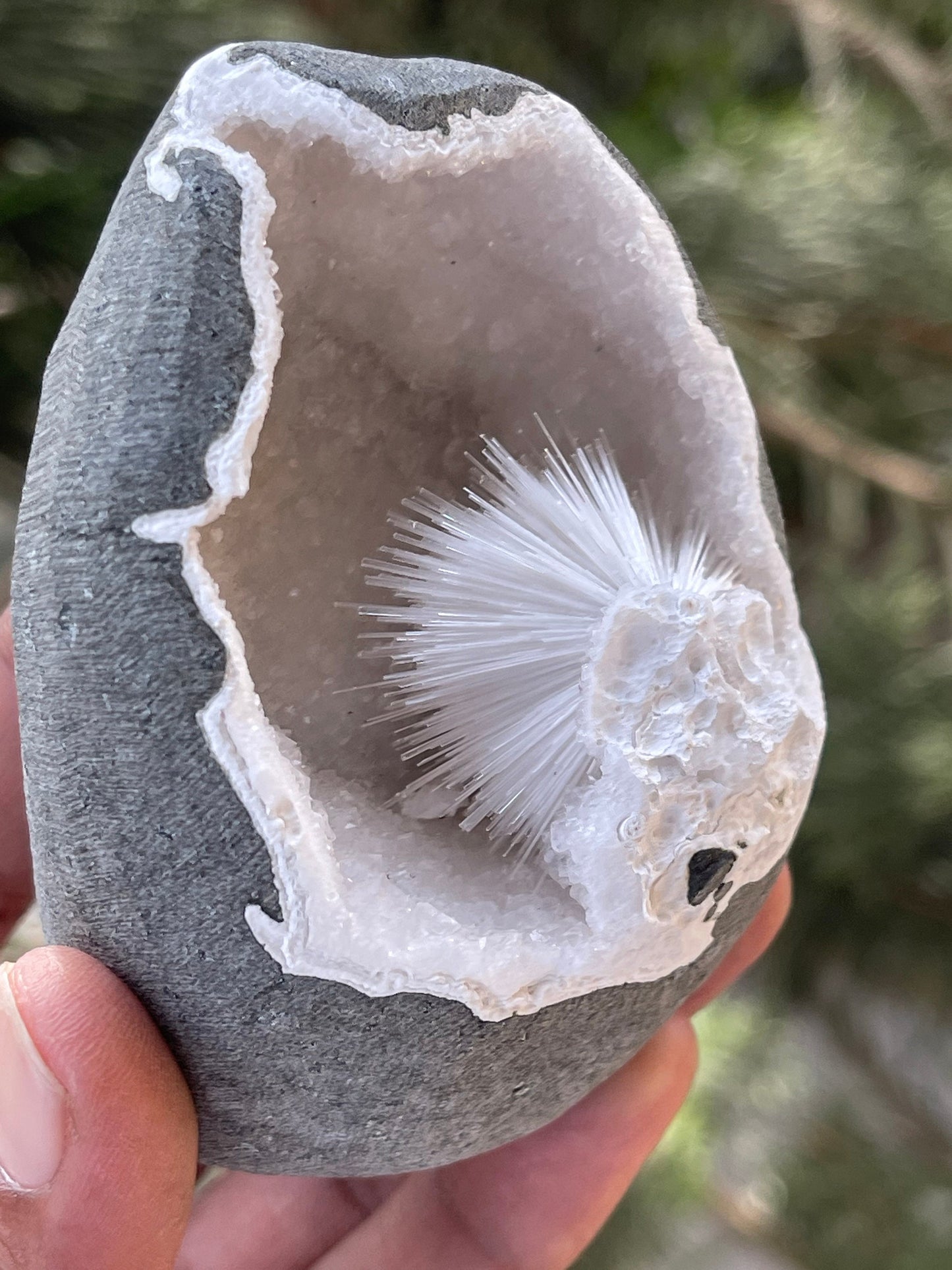 Perfect scolecite flower inside quartz geode natural specimen
