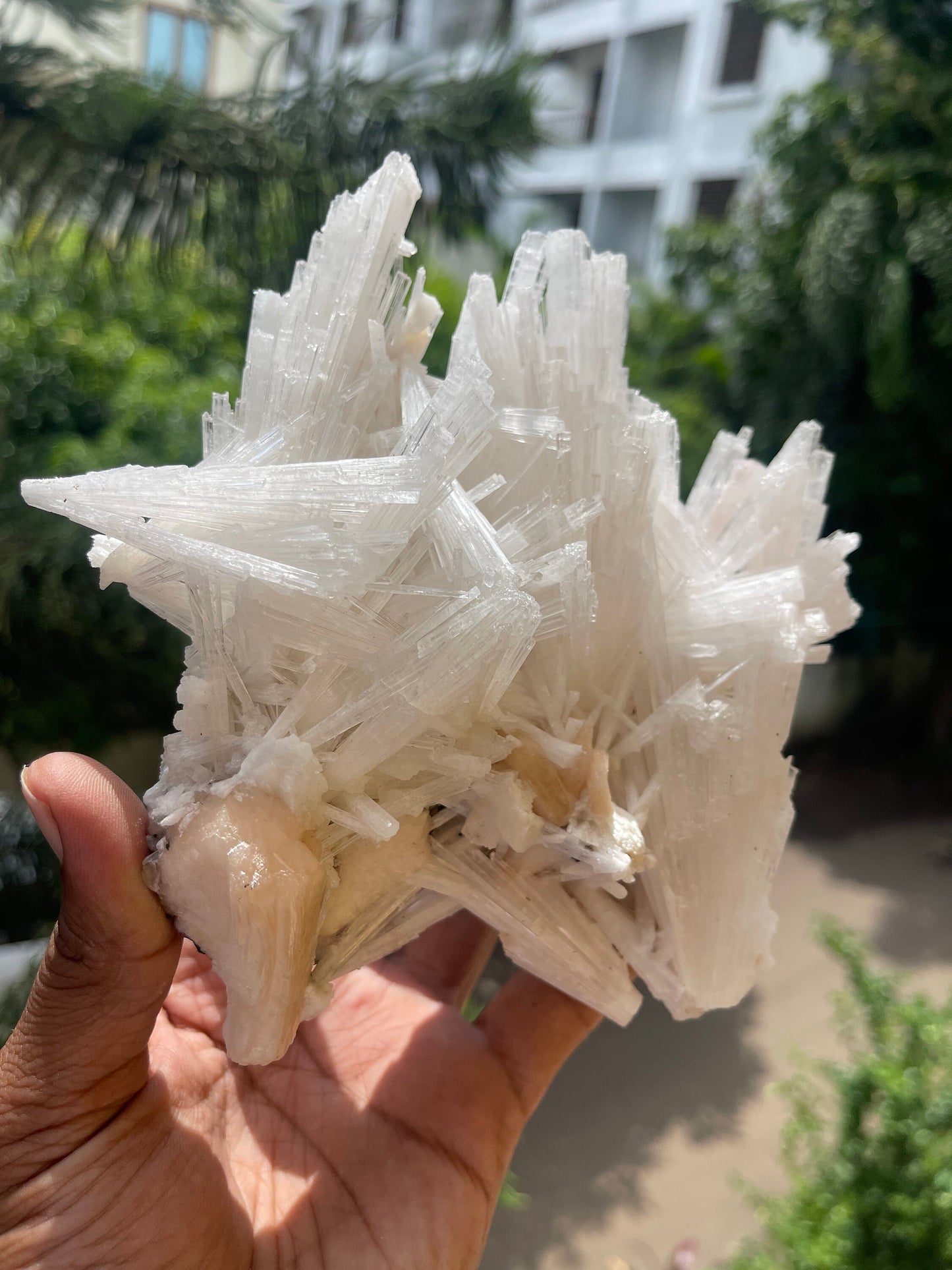 Scolecite crystal with stilbite