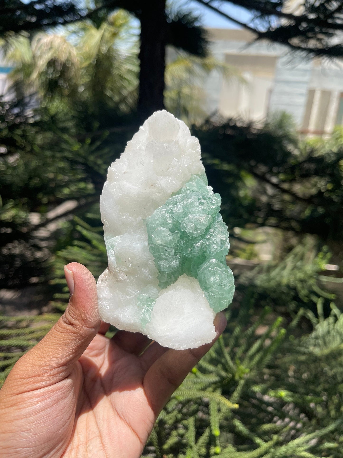 Green apophyllite flower with glossy stilbite natural specimens