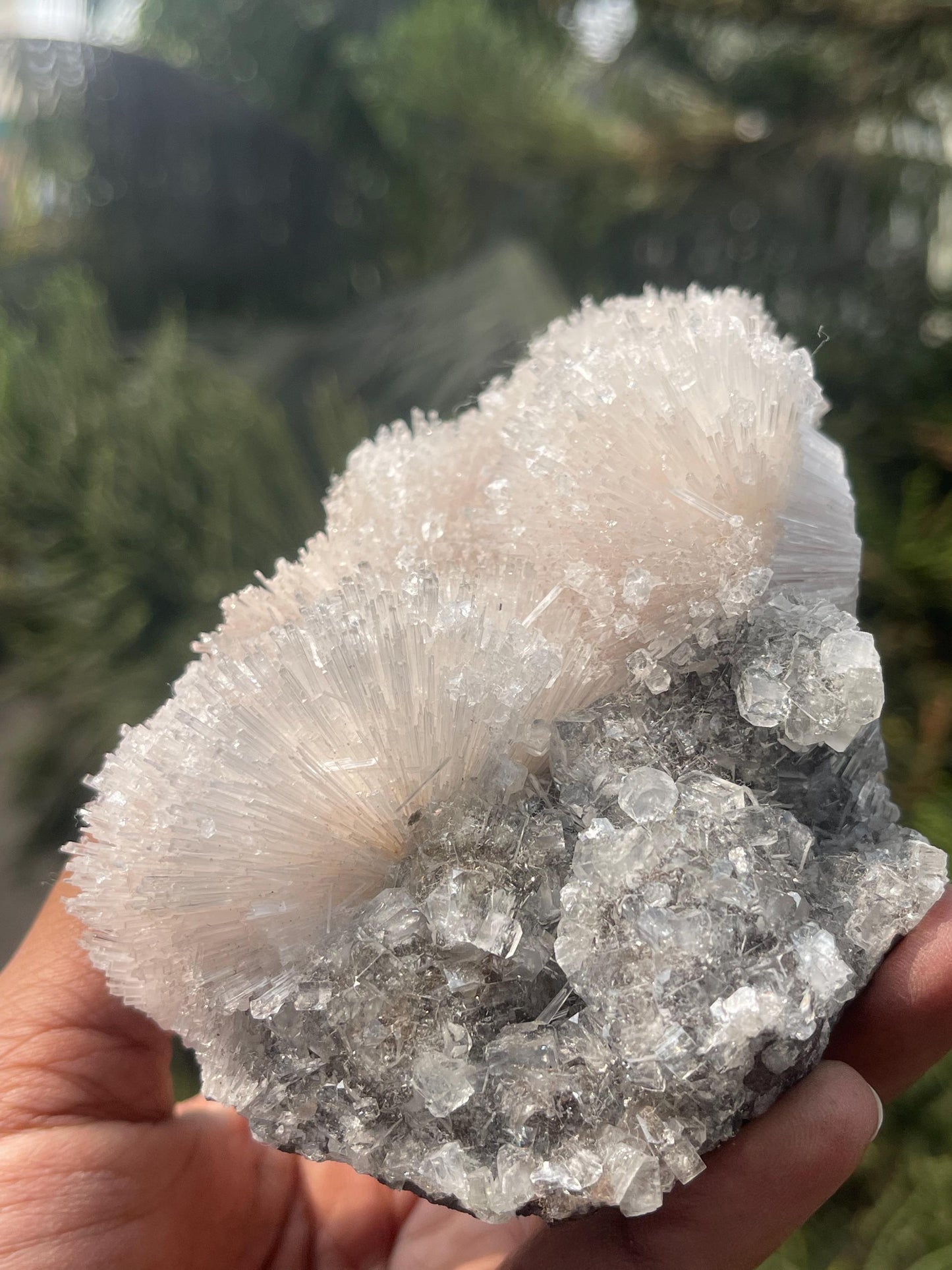 Glossy Apophyllite crystals on scolecite flower