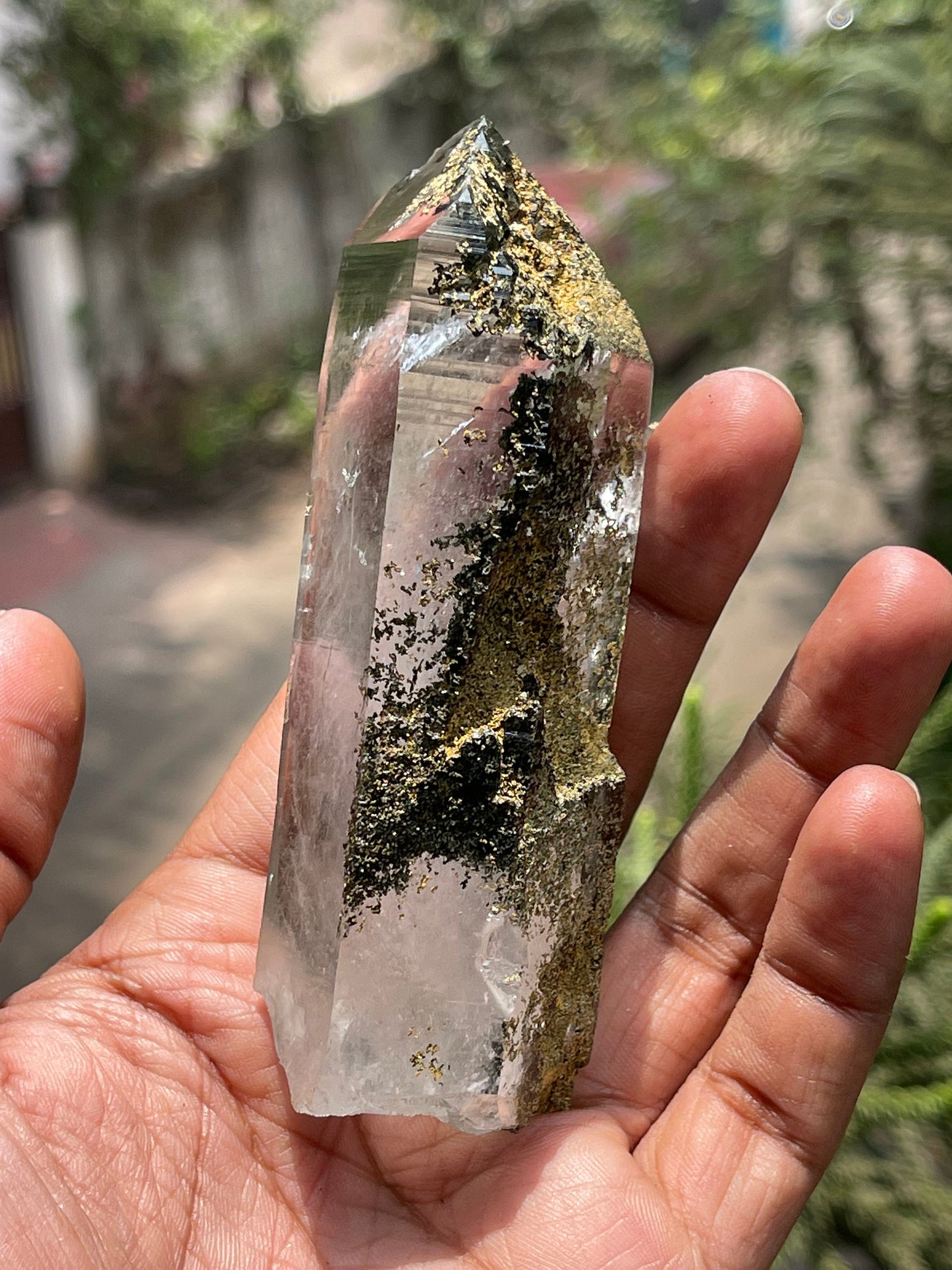 Himalayan Chlorite Quartz Crystal