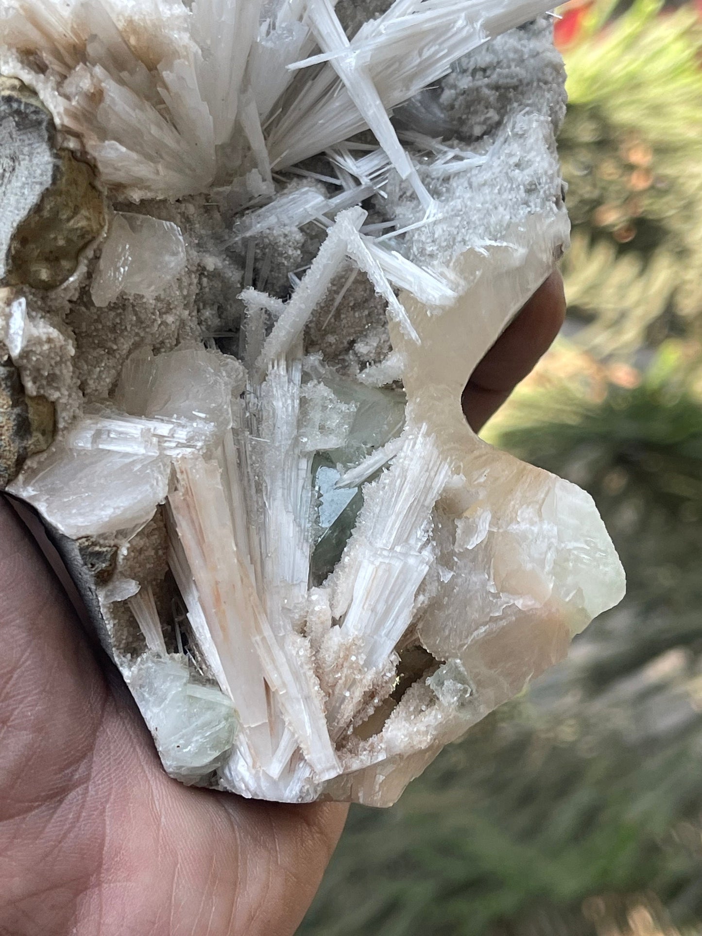Shiney scolecite spray with stilbite/heulandite/green apophyllite