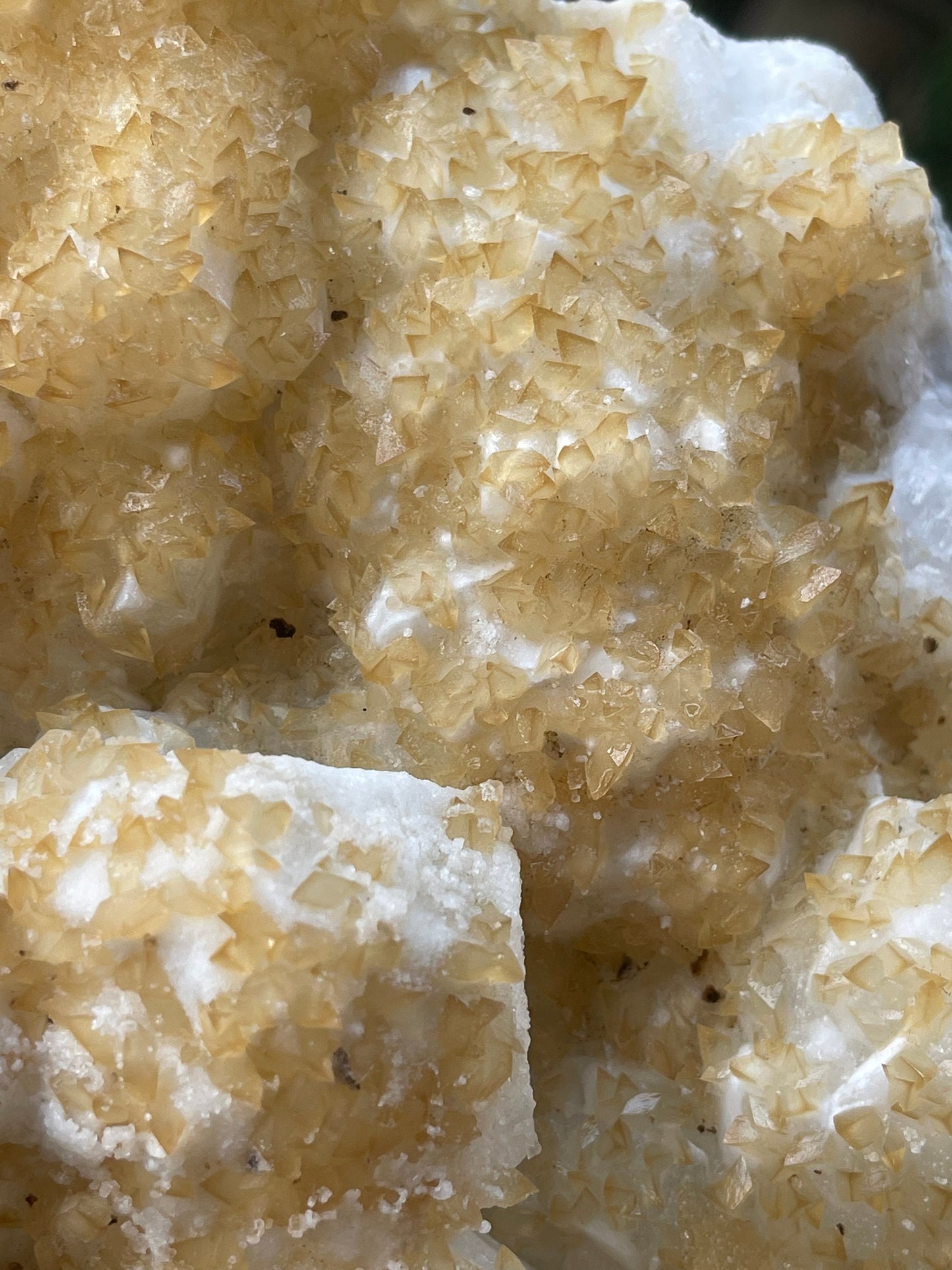 Golden calcite crystal on white apophyllite
