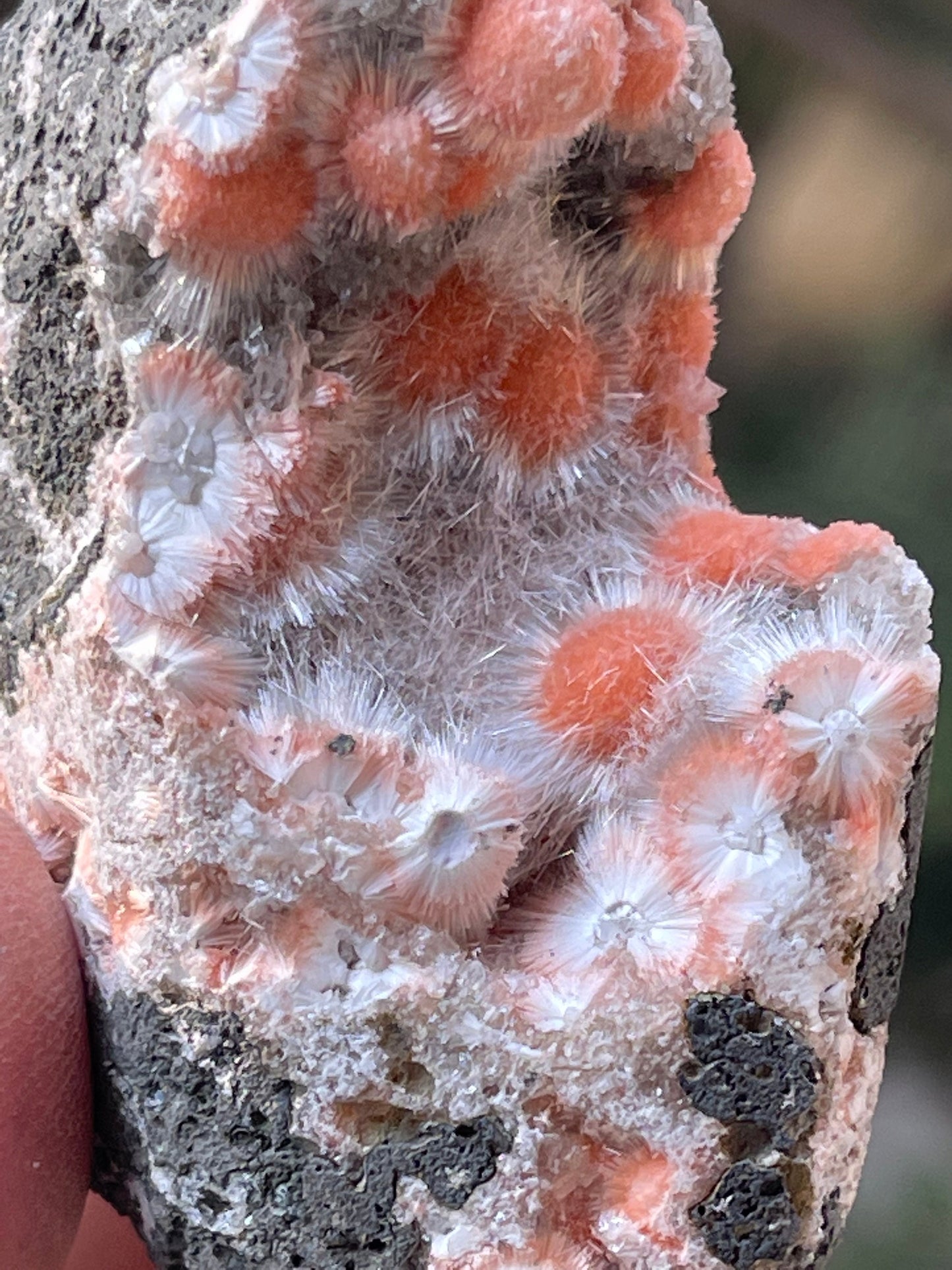 Orange mesolite balls on heulandite matrix