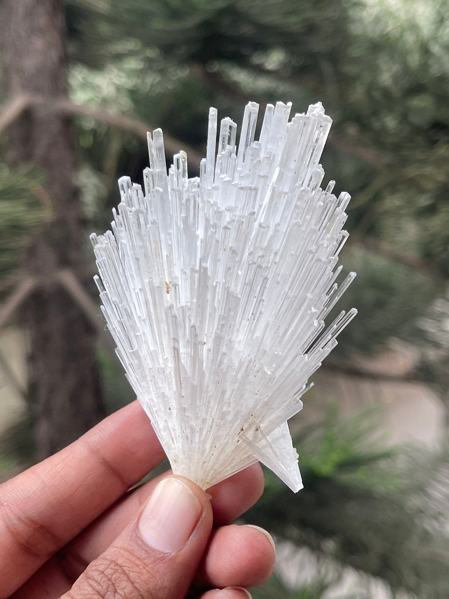 Glossy scolecite flower