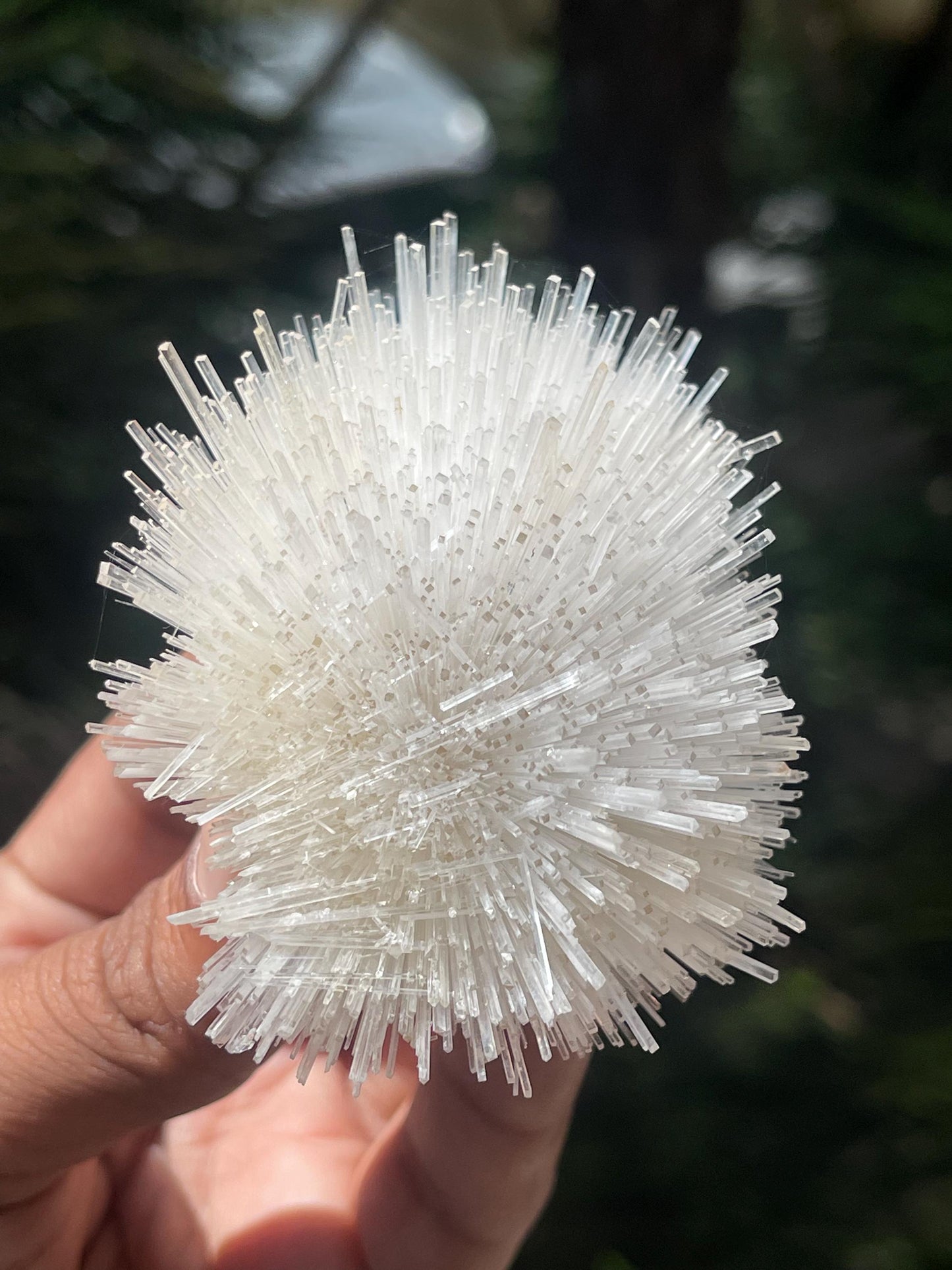 Perfect Natrolite flower