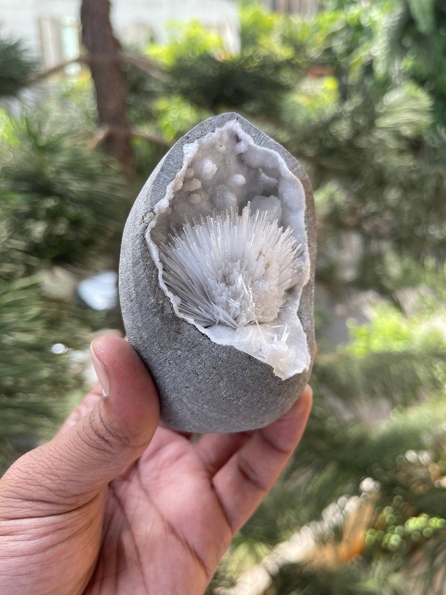 Scolecite flower with stilbite crystal insides quartz geode