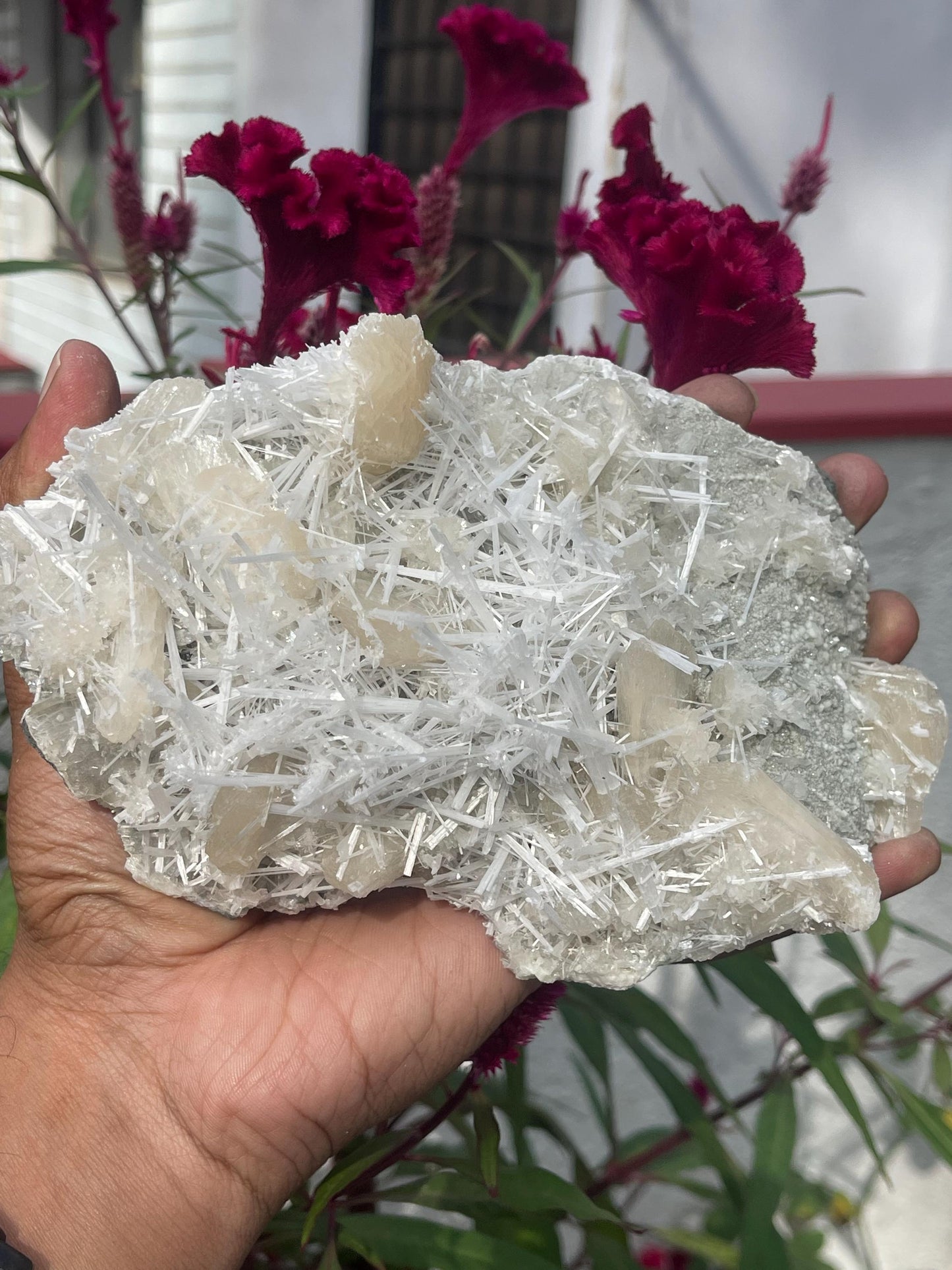 Glossy scolecite spray with stilbite on chalcedony matrix
