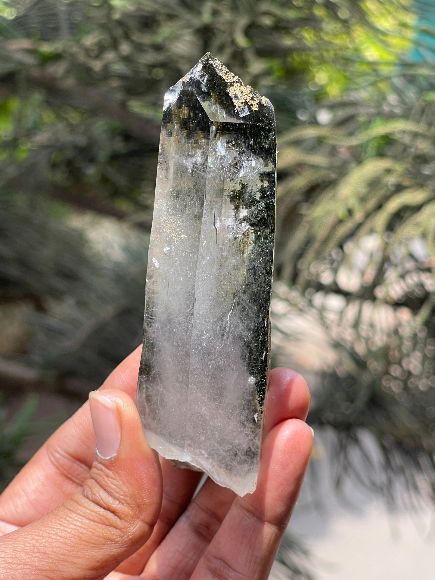 Himalayan Chlorite Quartz Crystal