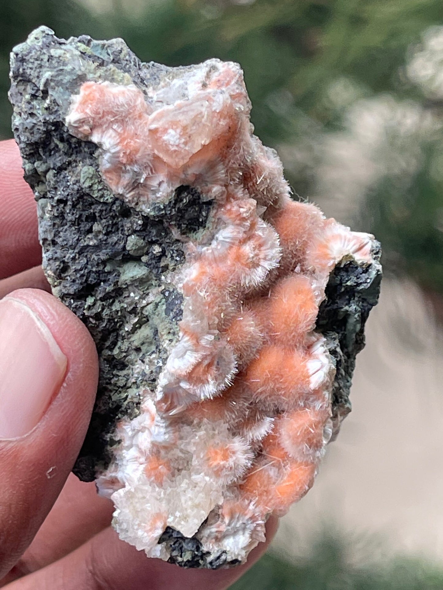 Orange mesolite