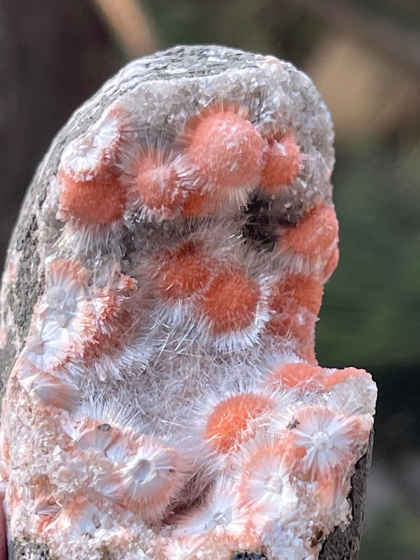 Orange mesolite balls on heulandite matrix