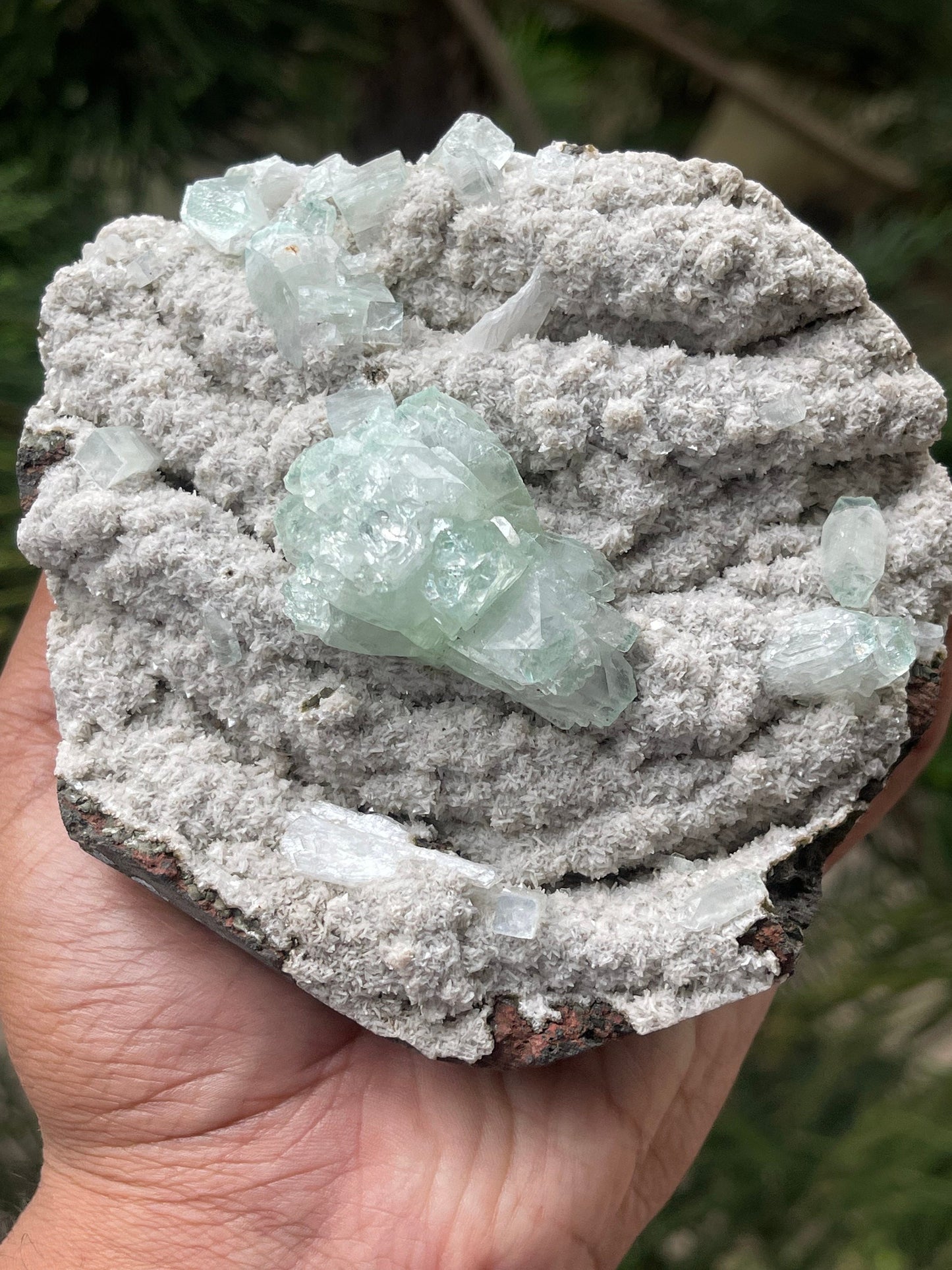 Green apophyllite crystal on chalcedony matrix